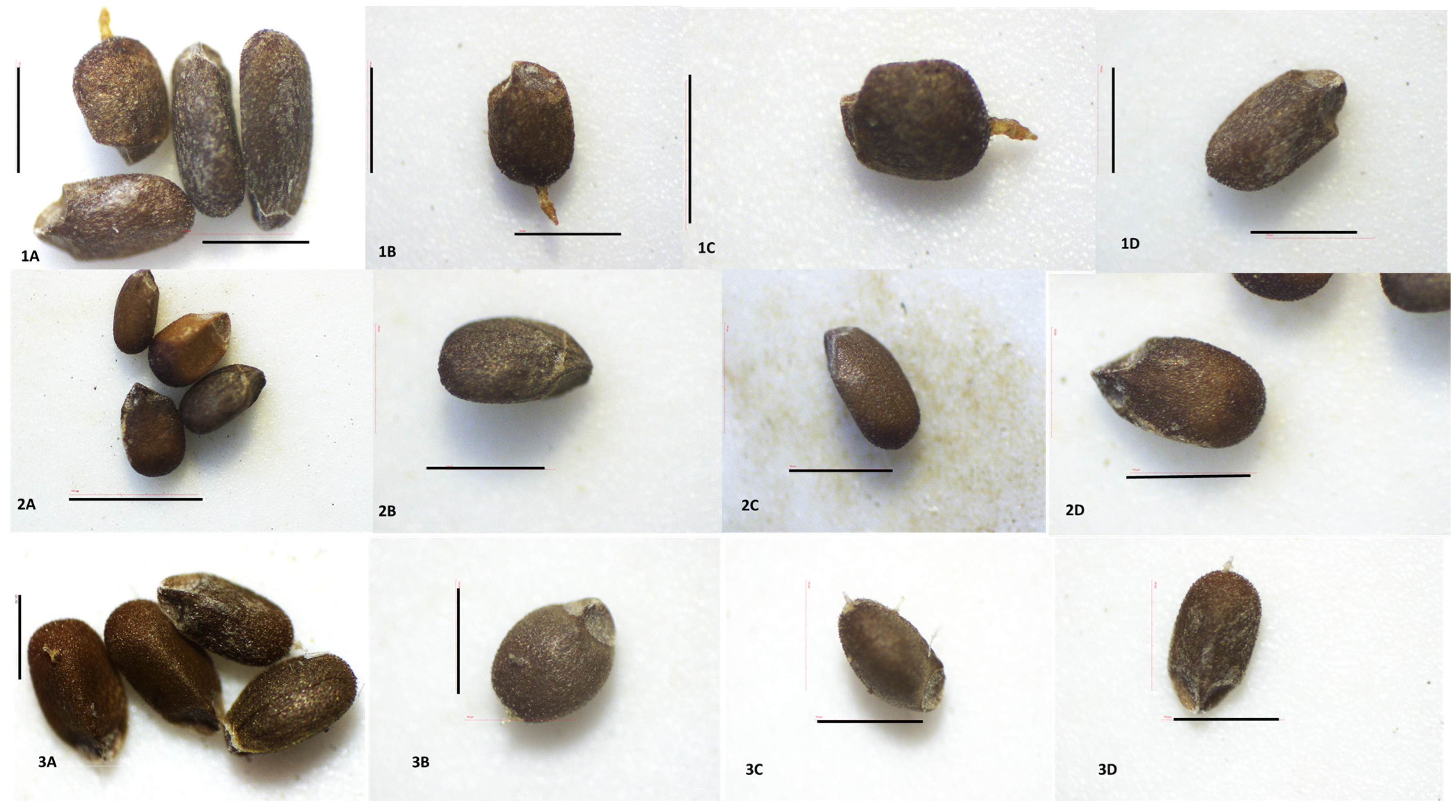 Plants 12 02436 g010