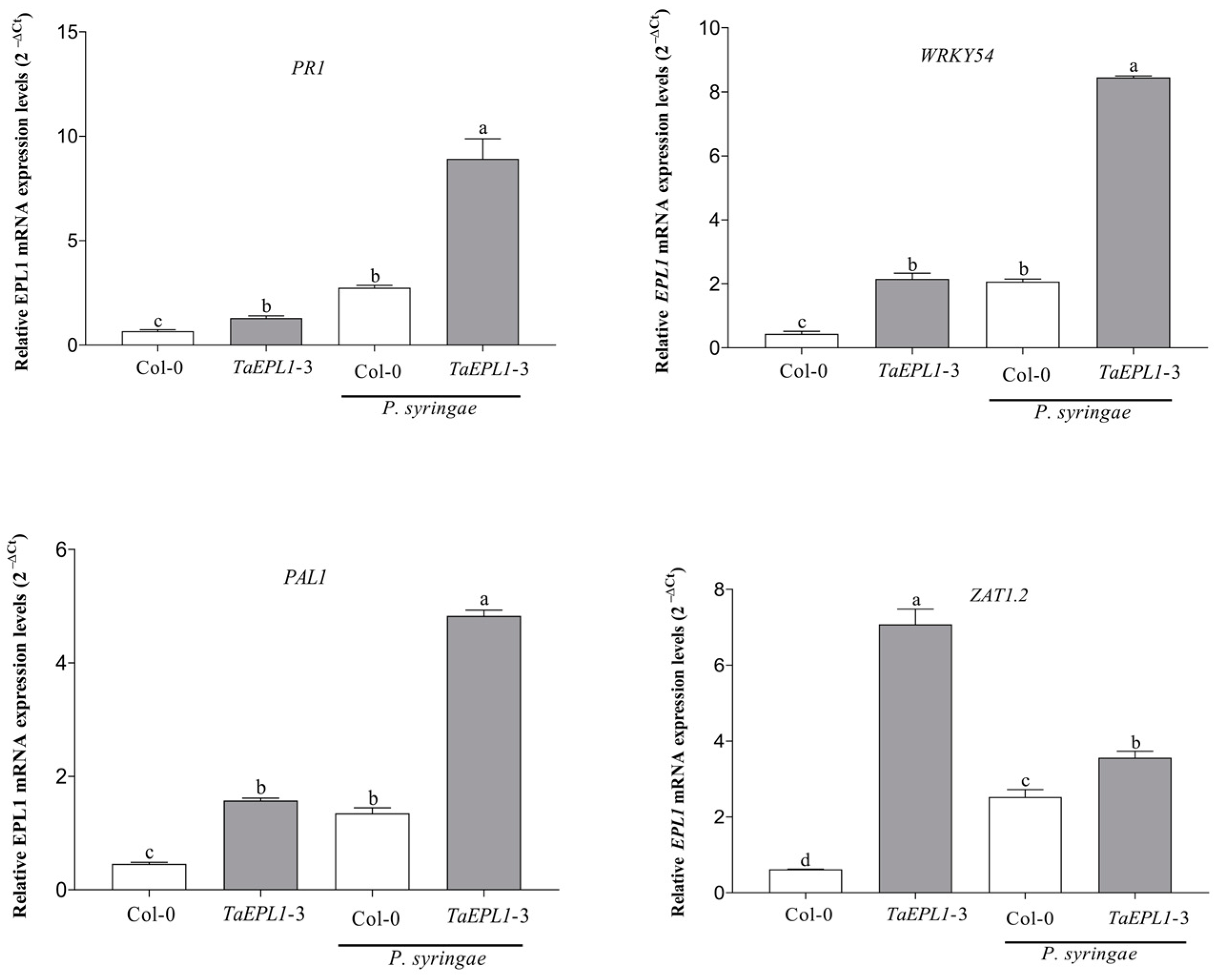 Plants 12 02443 g004