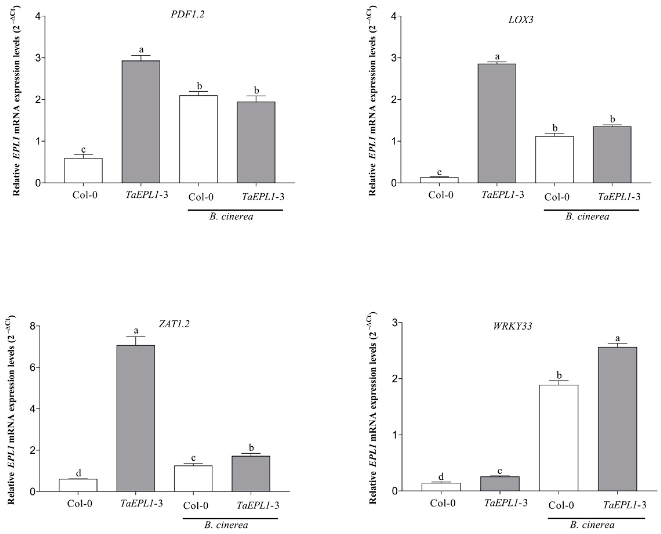 Plants 12 02443 g007