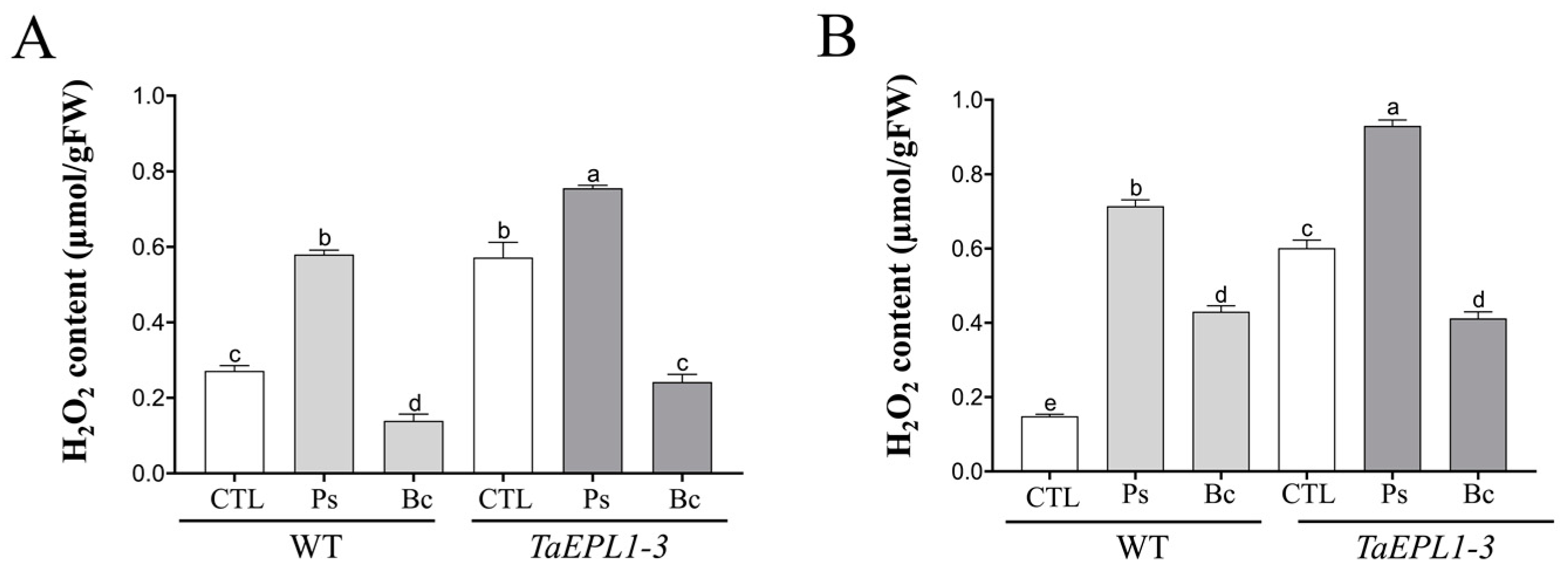 Plants 12 02443 g008