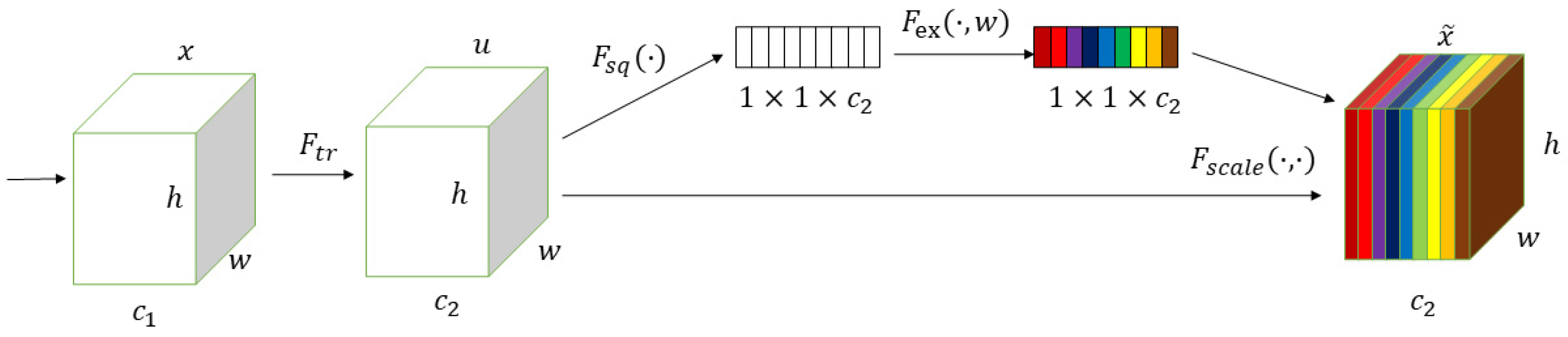 Plants 12 02444 g003