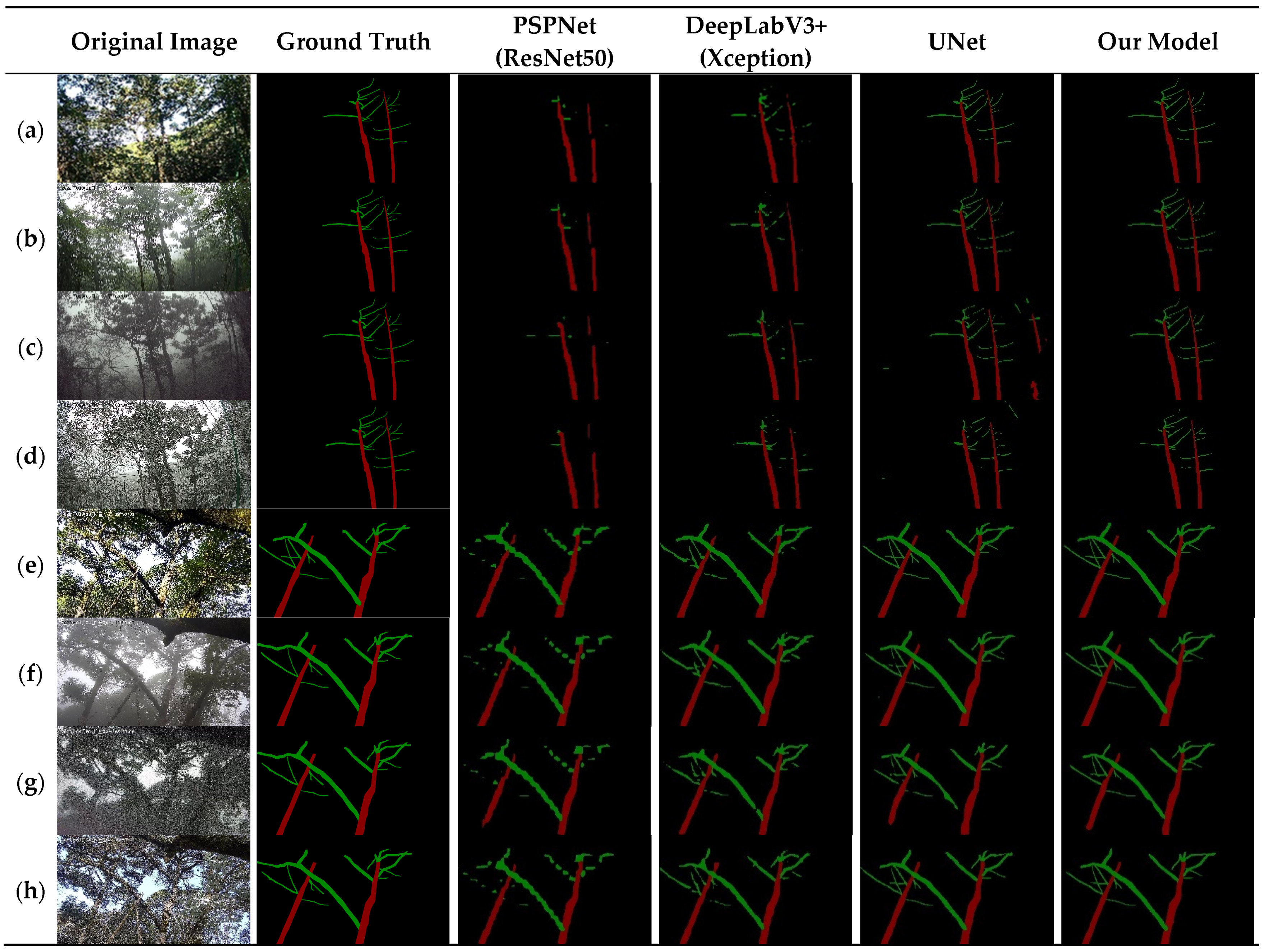 Plants 12 02444 g010
