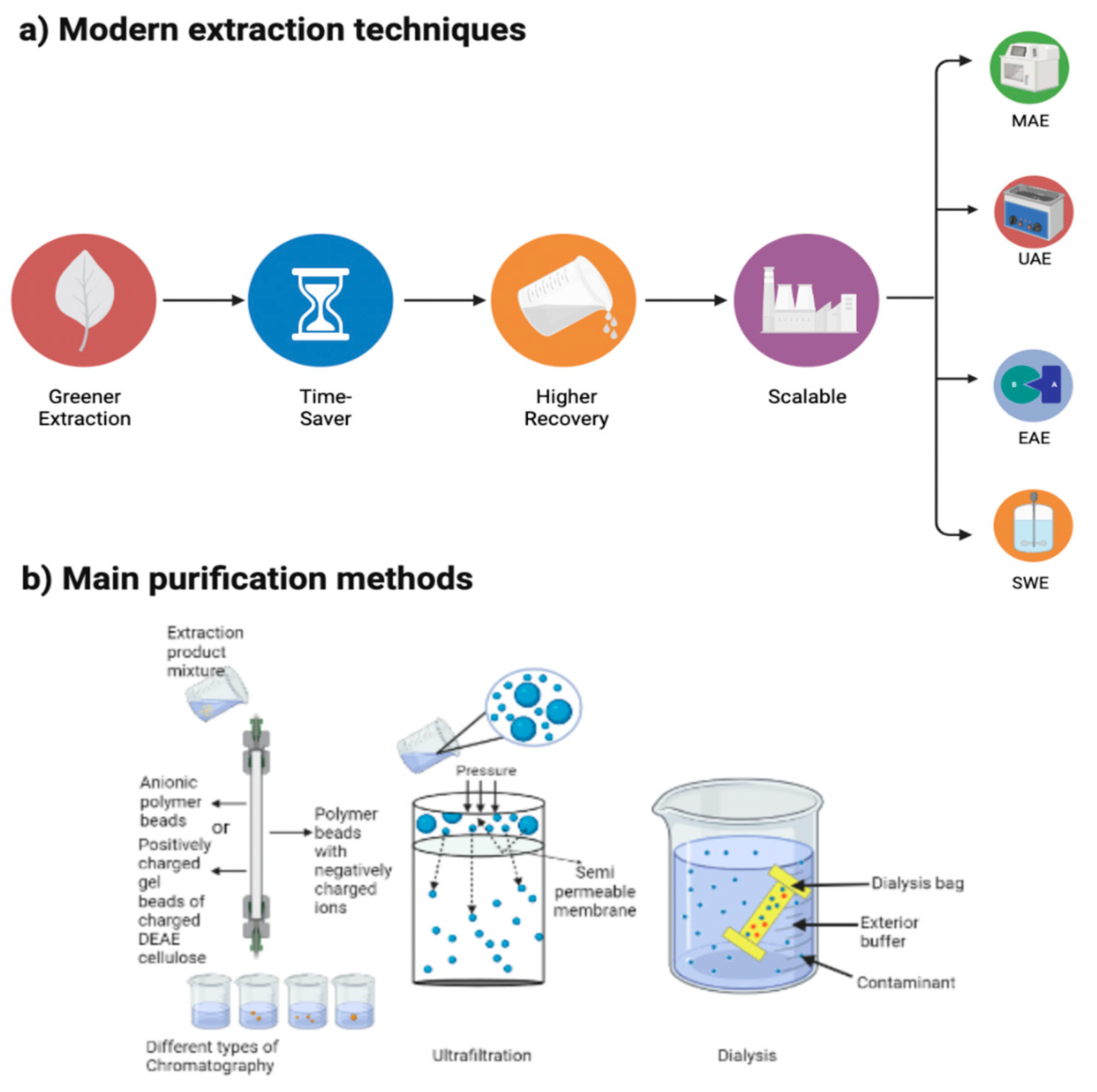 Plants 12 02445 g001