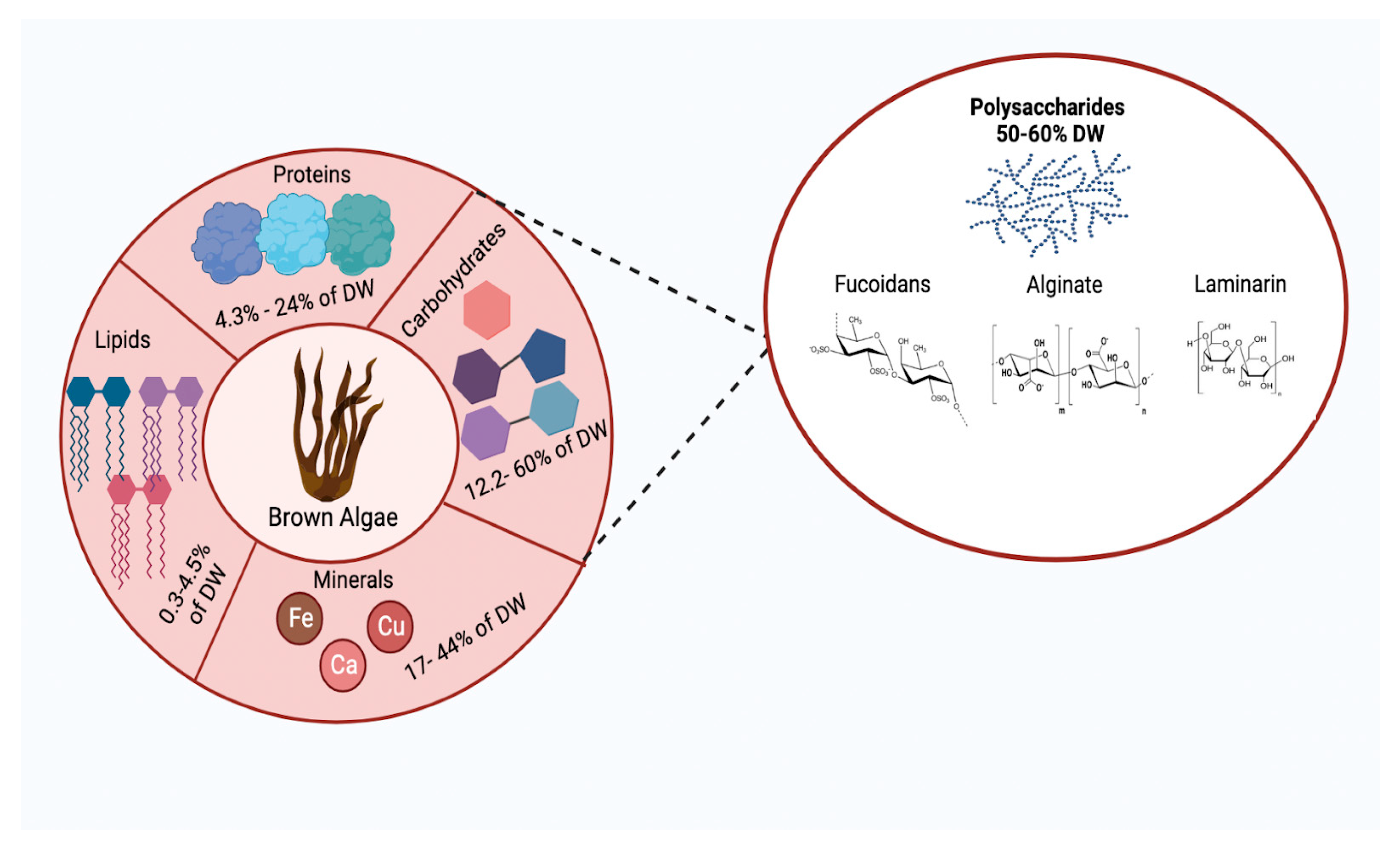 Plants 12 02445 g002