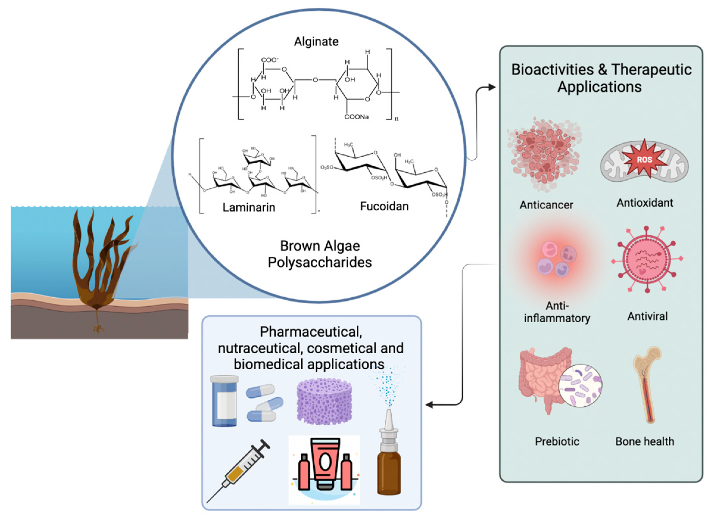 Plants 12 02445 g003