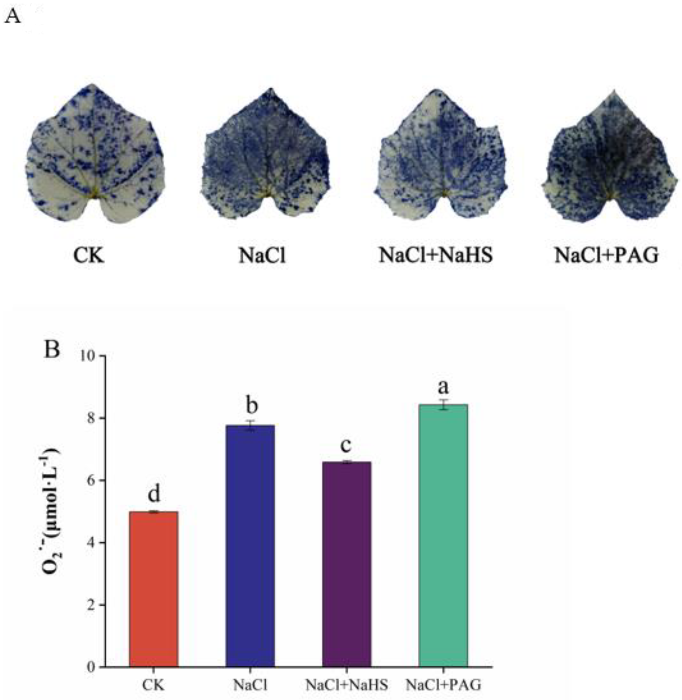 Plants 12 02450 g004