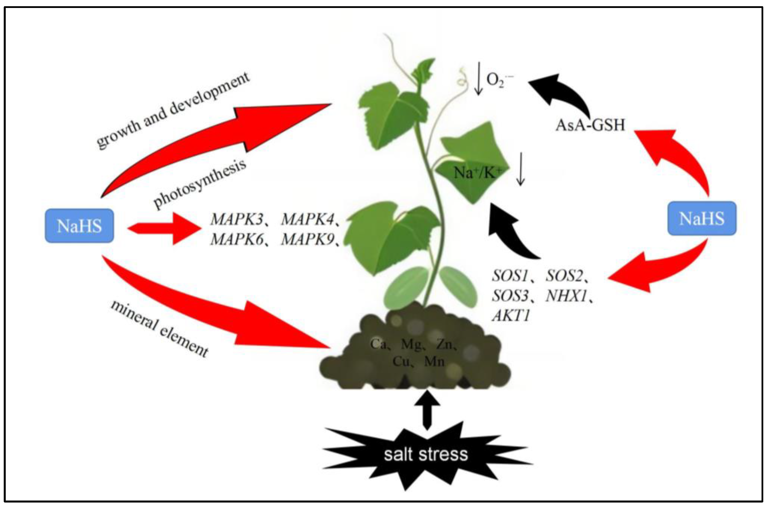 Plants 12 02450 g010