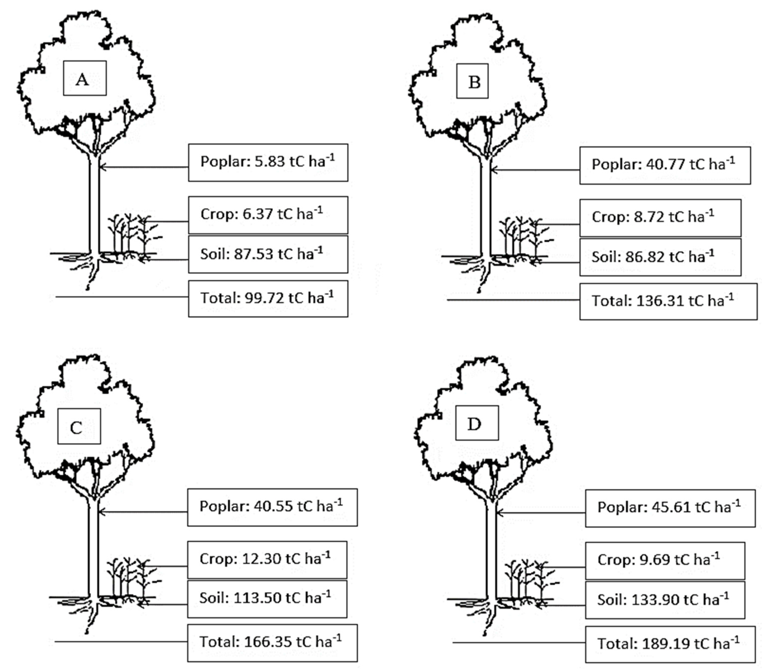 Plants 12 02451 g003
