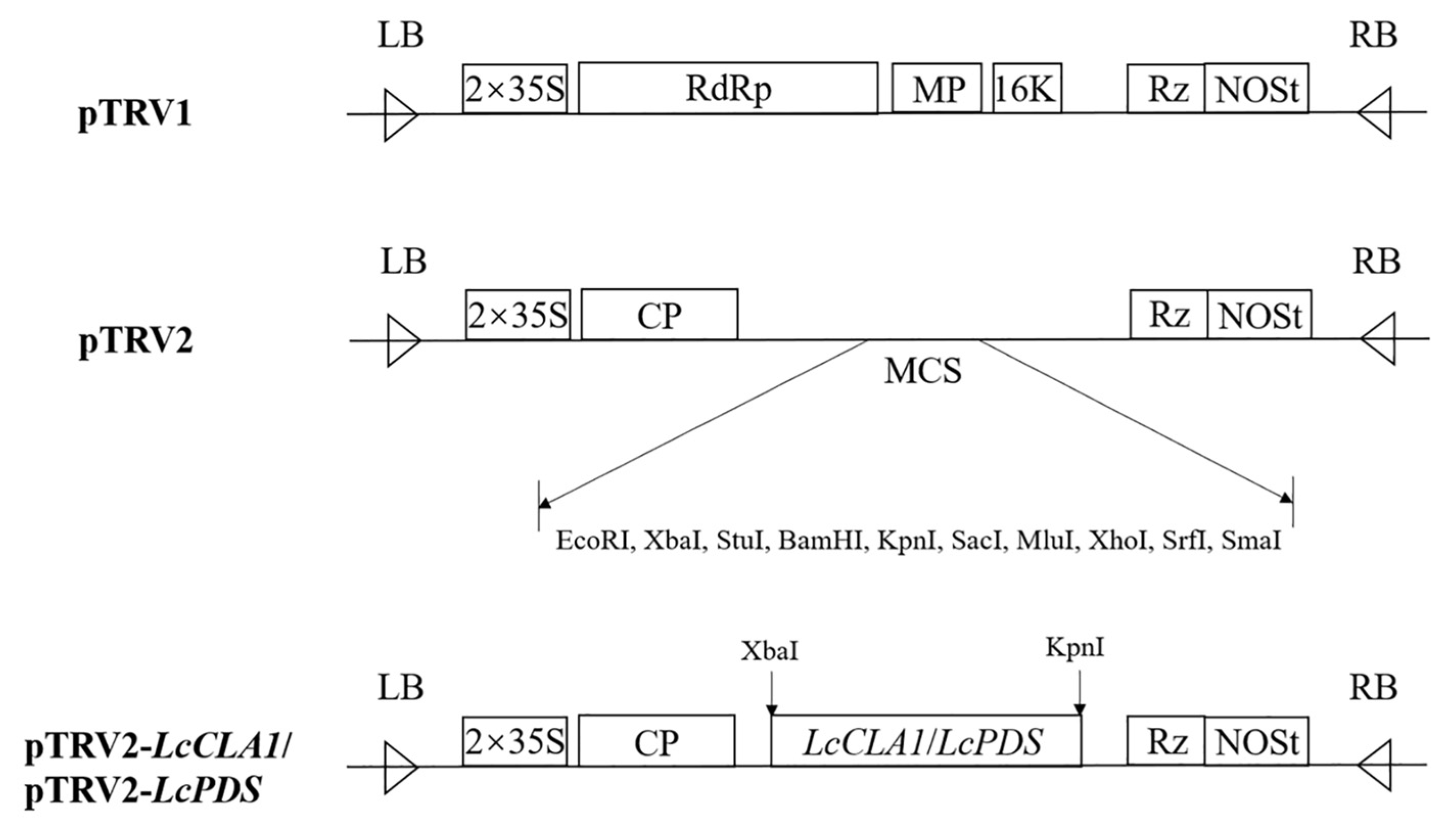 Plants 12 02458 g005