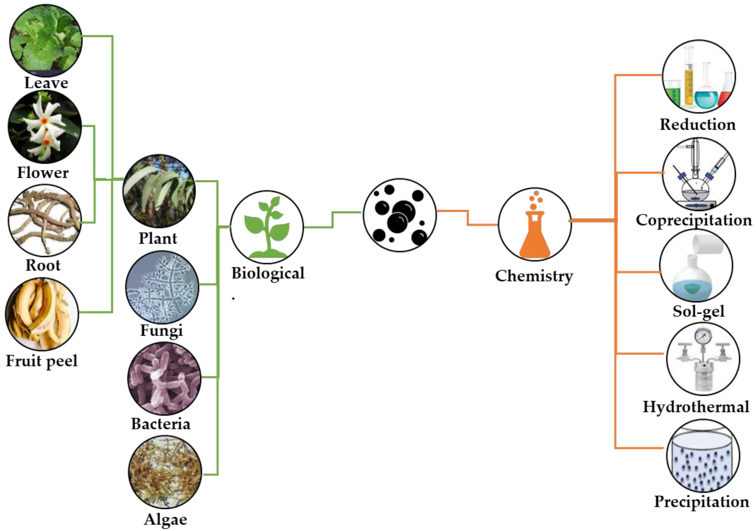 Plants 12 02461 g001