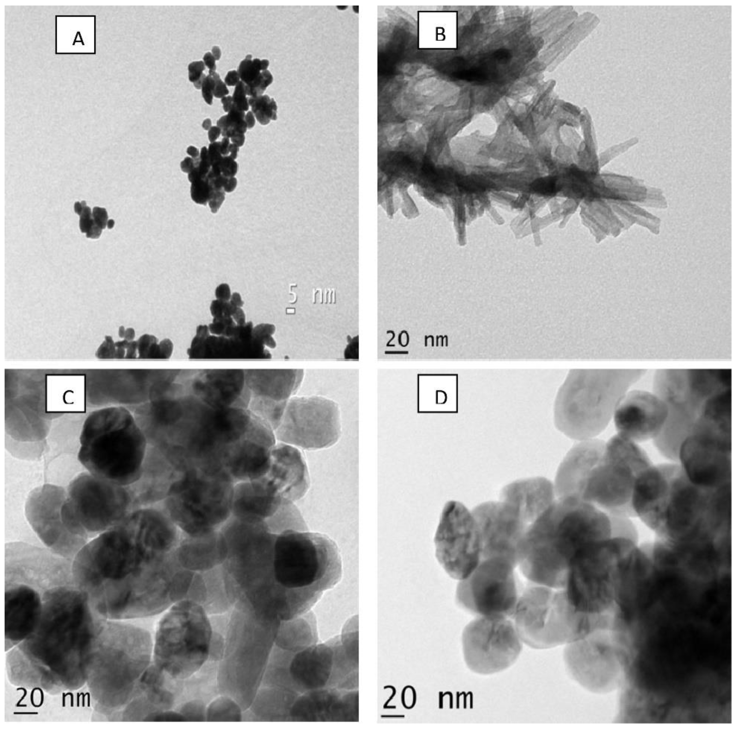 Plants 12 02461 g002