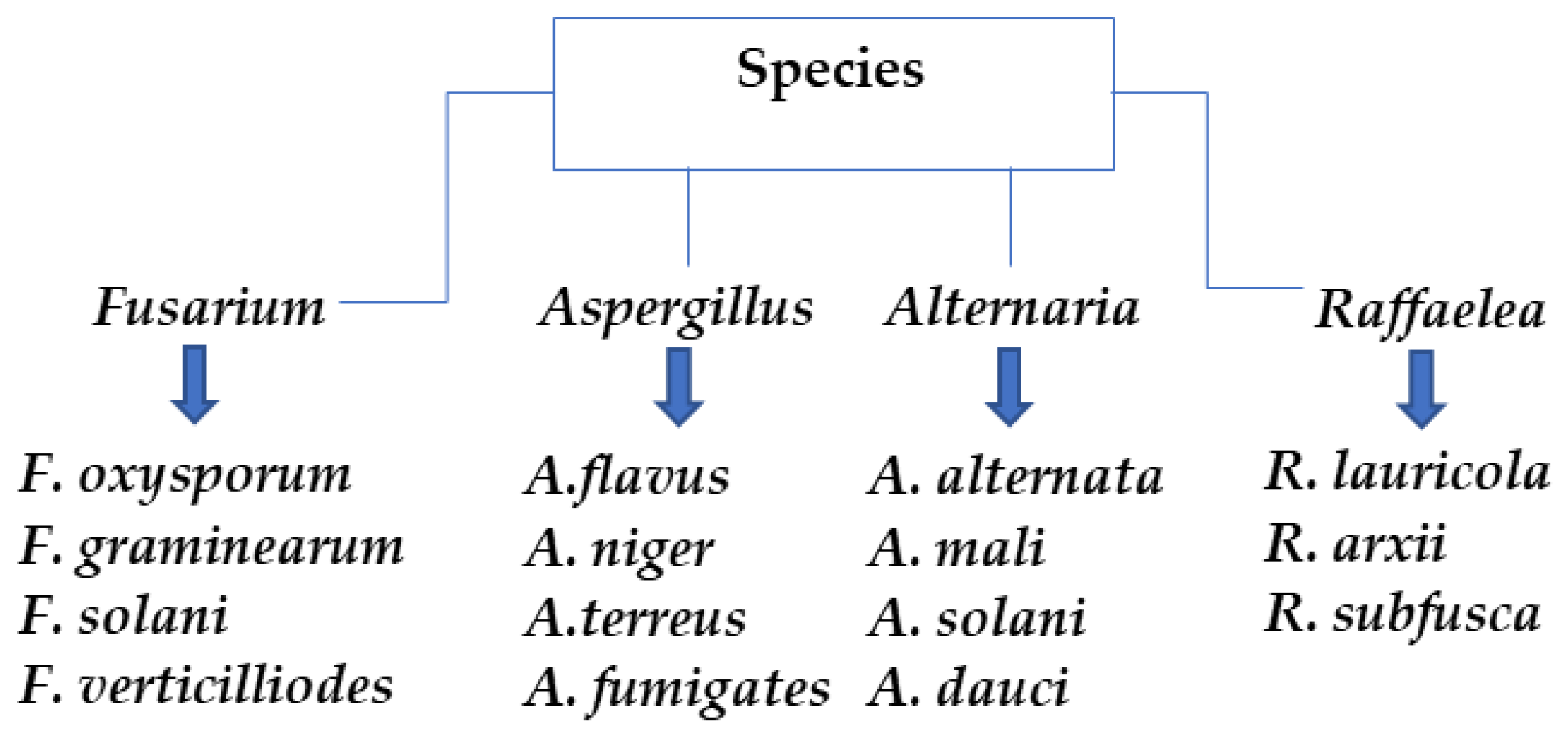 Plants 12 02461 g003