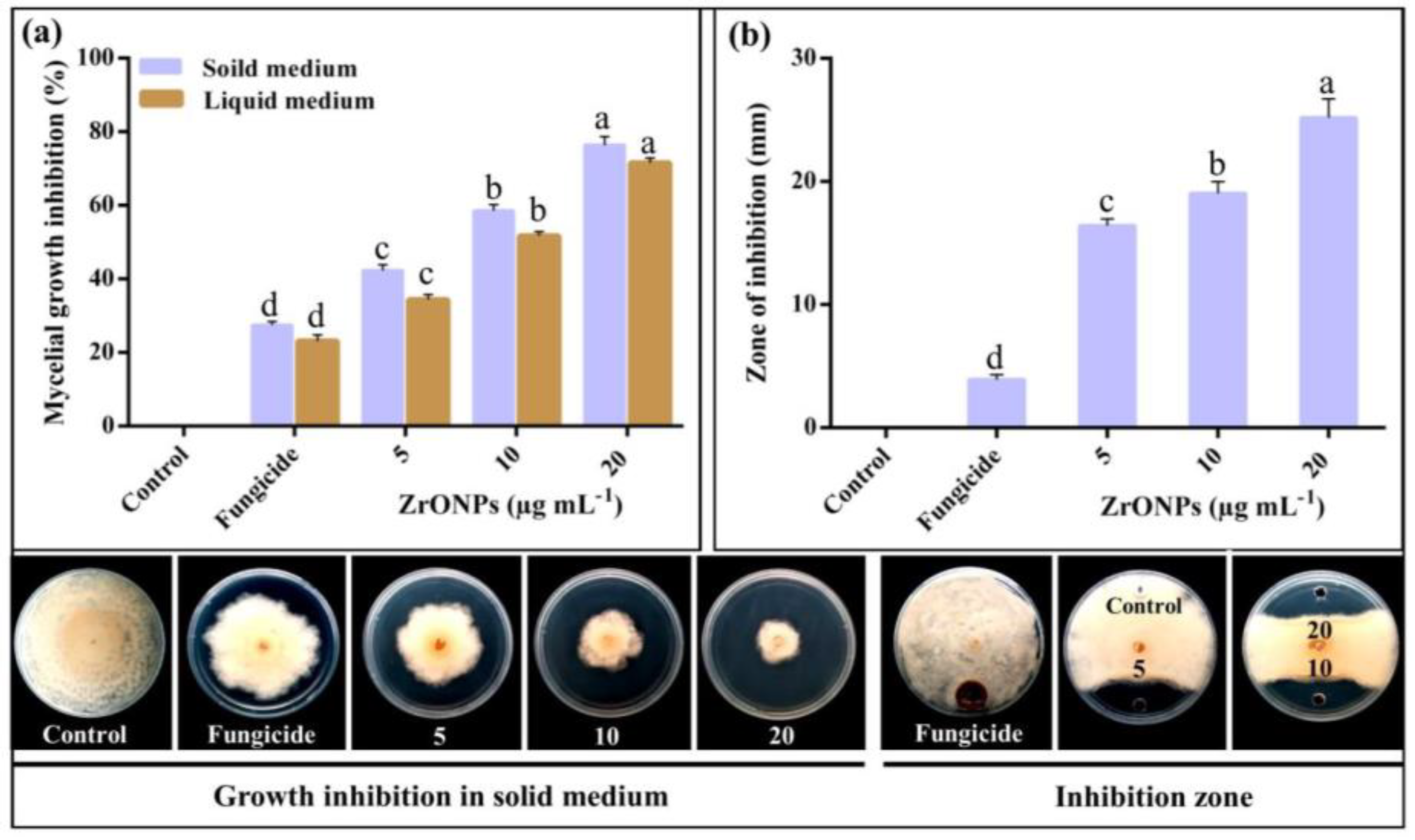 Plants 12 02461 g006