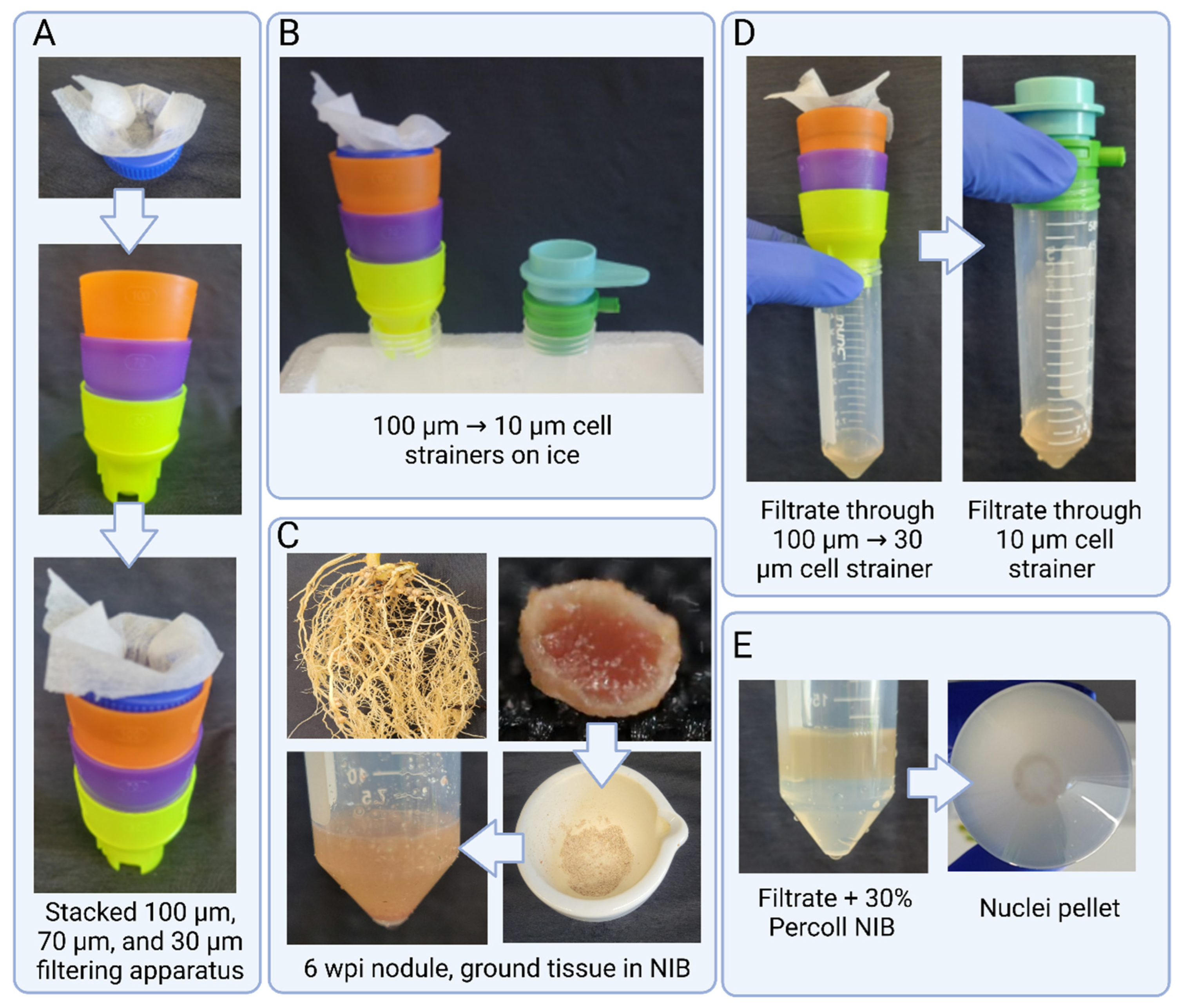 Plants 12 02466 g001