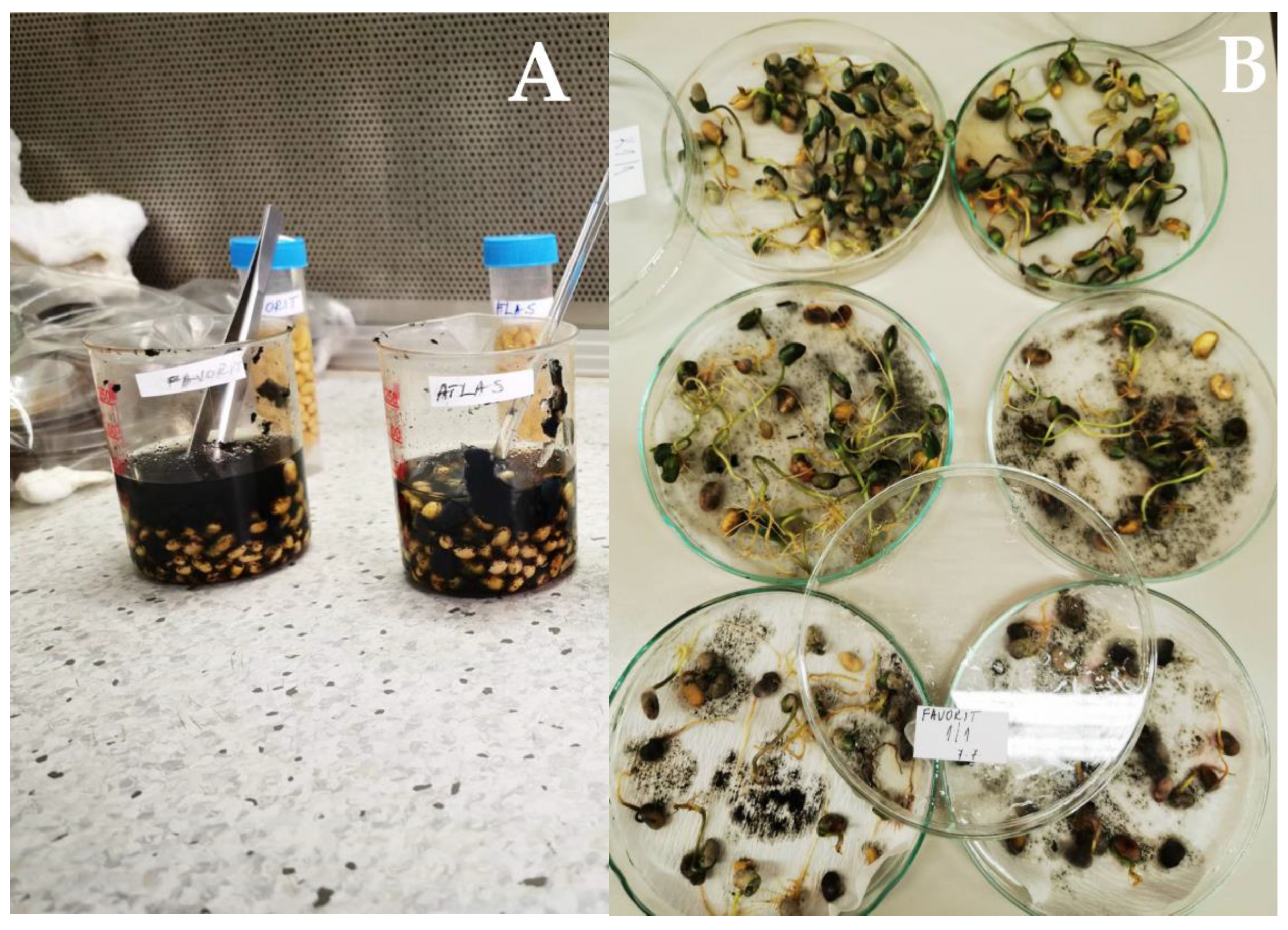 Plants 12 02467 g004