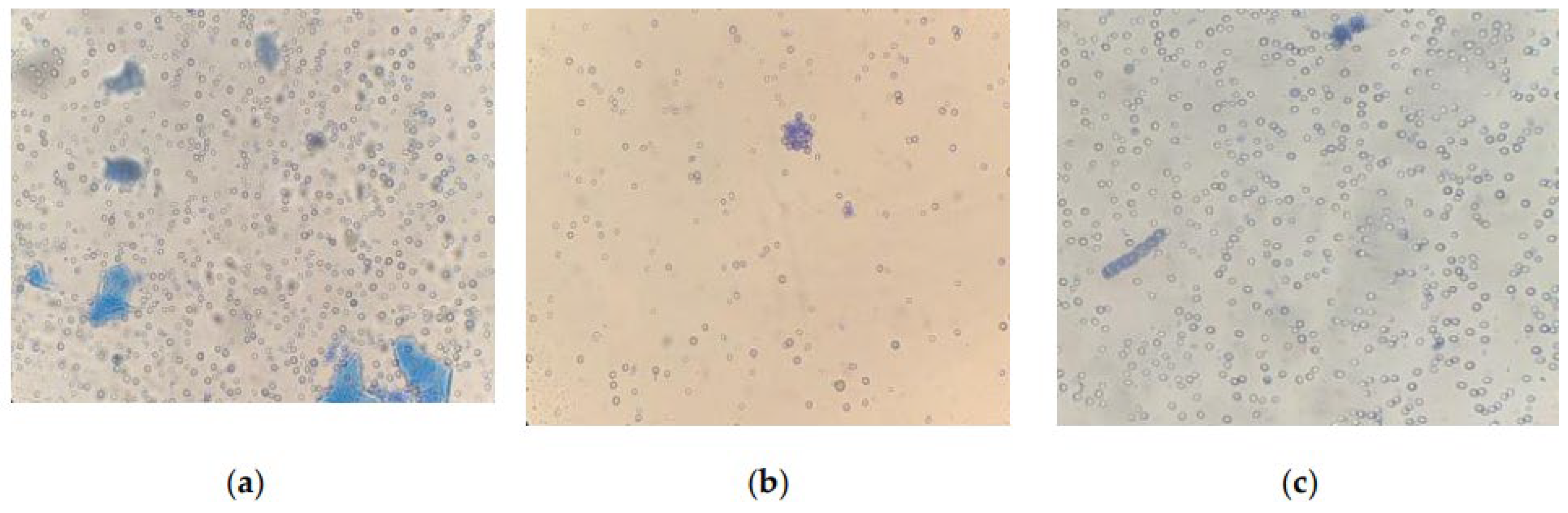 Plants 12 02470 g008a