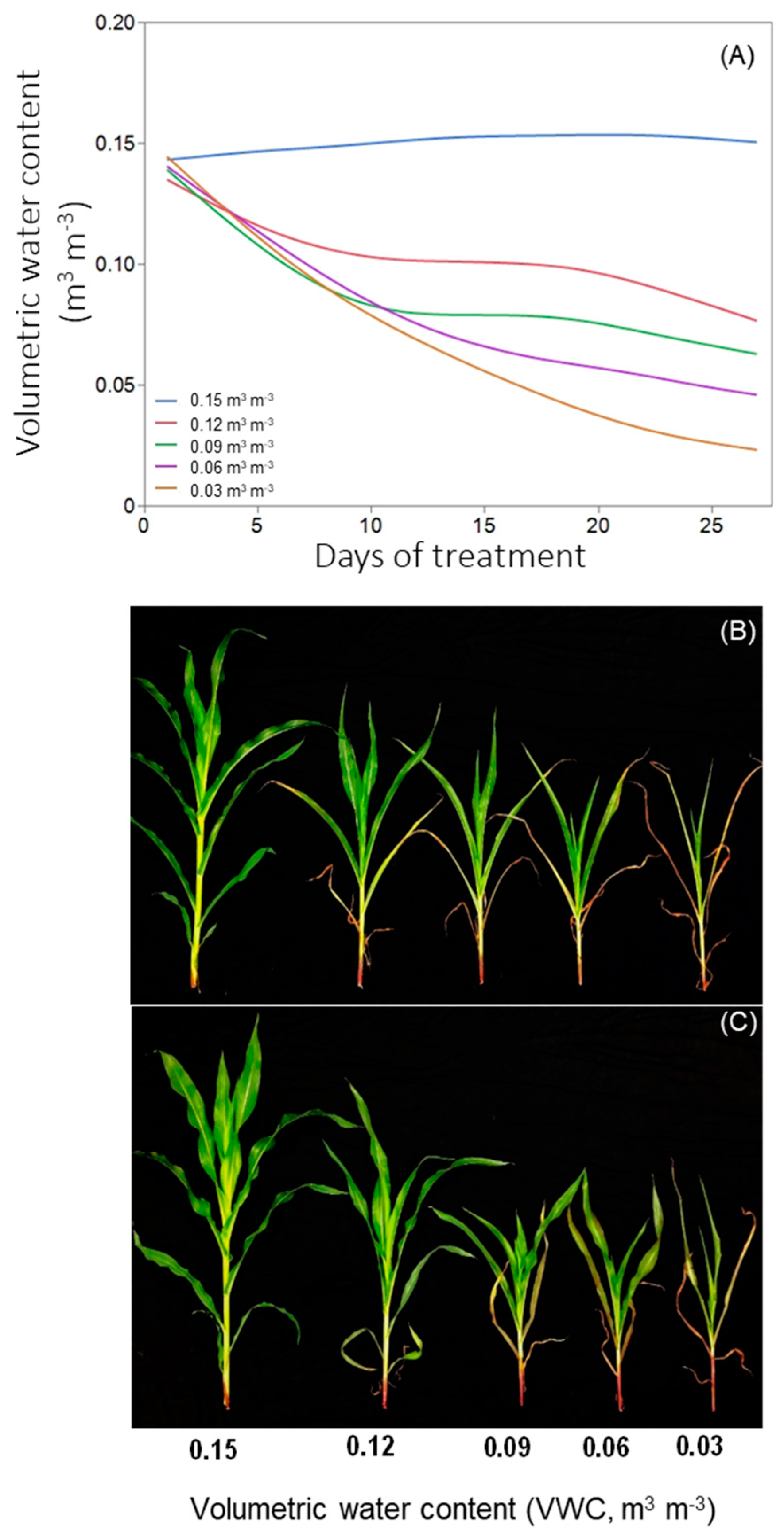 Plants 12 02471 g001