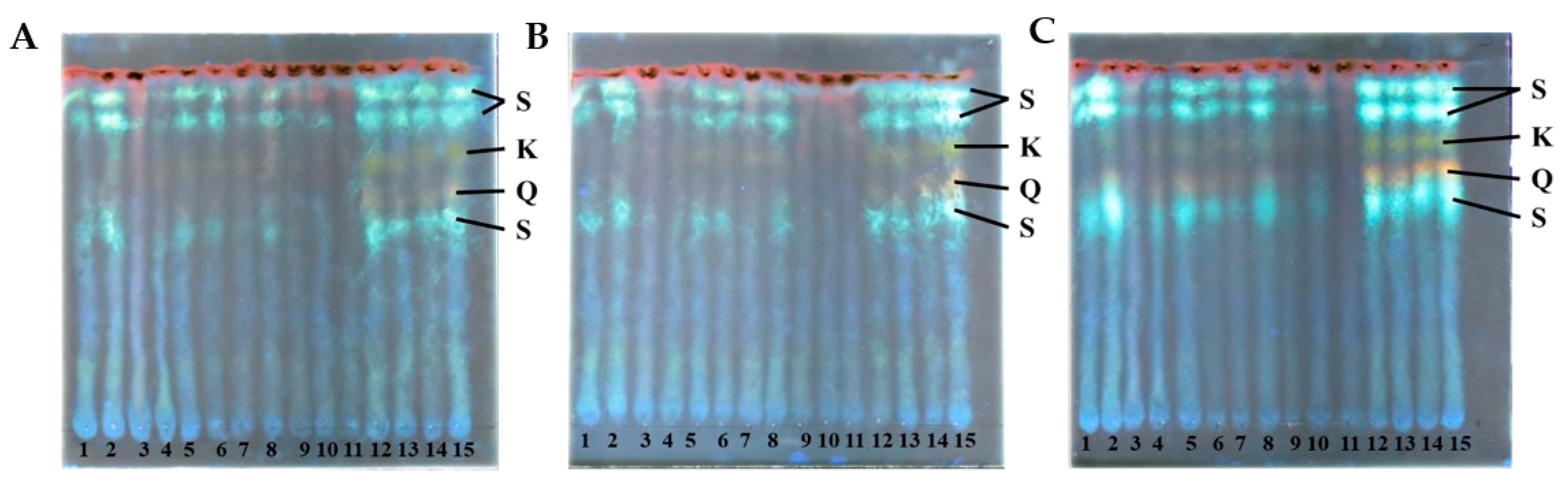 Plants 12 02472 g007