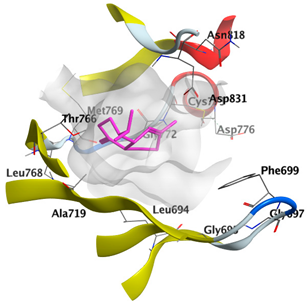 Plants 12 02475 i004