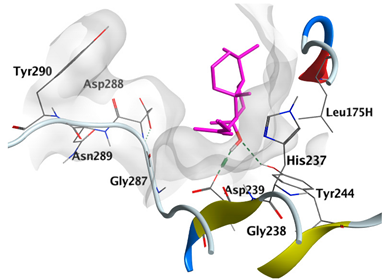 Plants 12 02475 i011