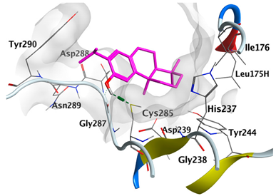 Plants 12 02475 i012
