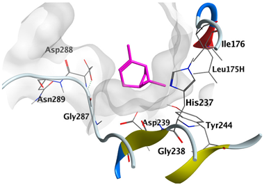 Plants 12 02475 i015