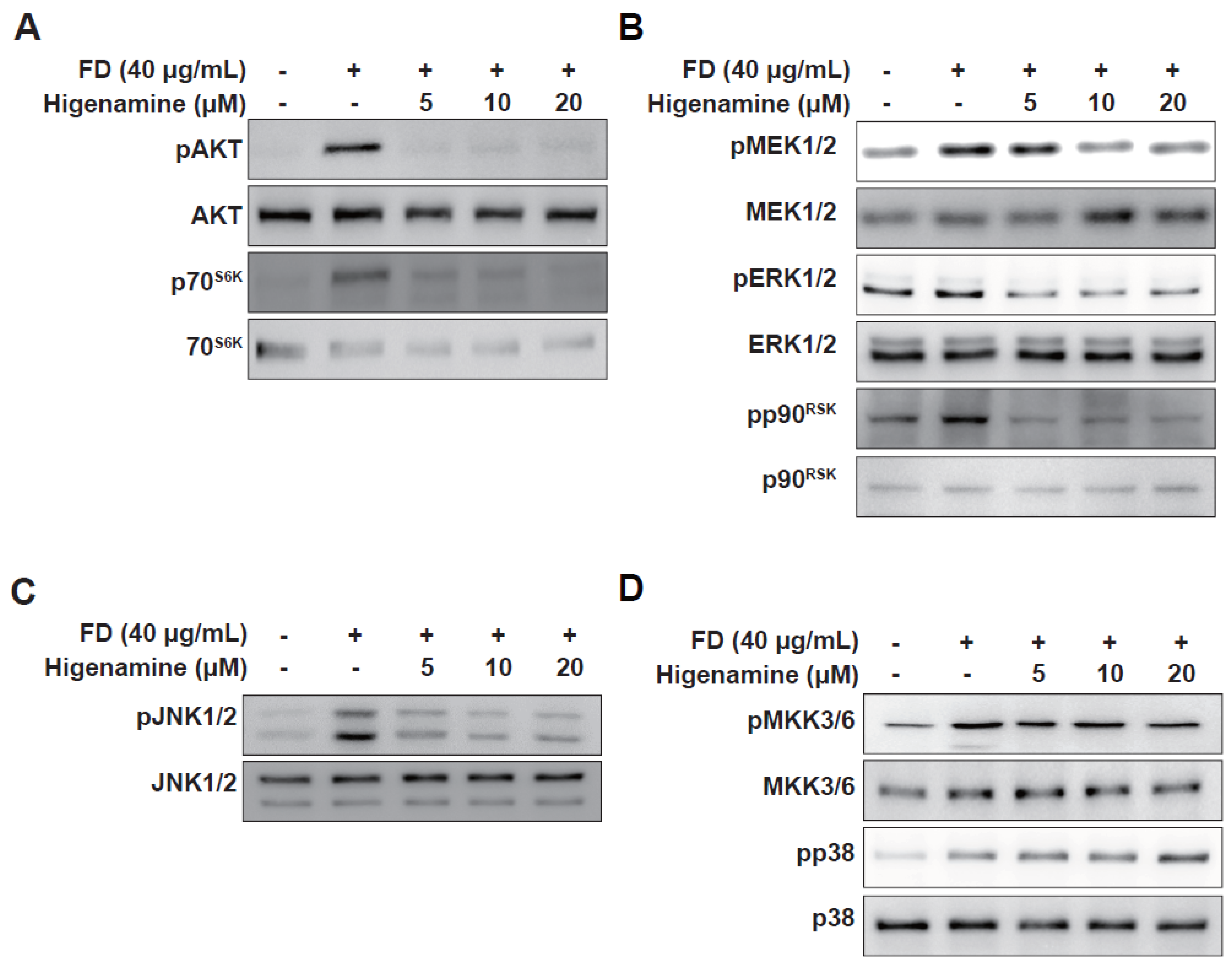 Plants 12 02479 g004