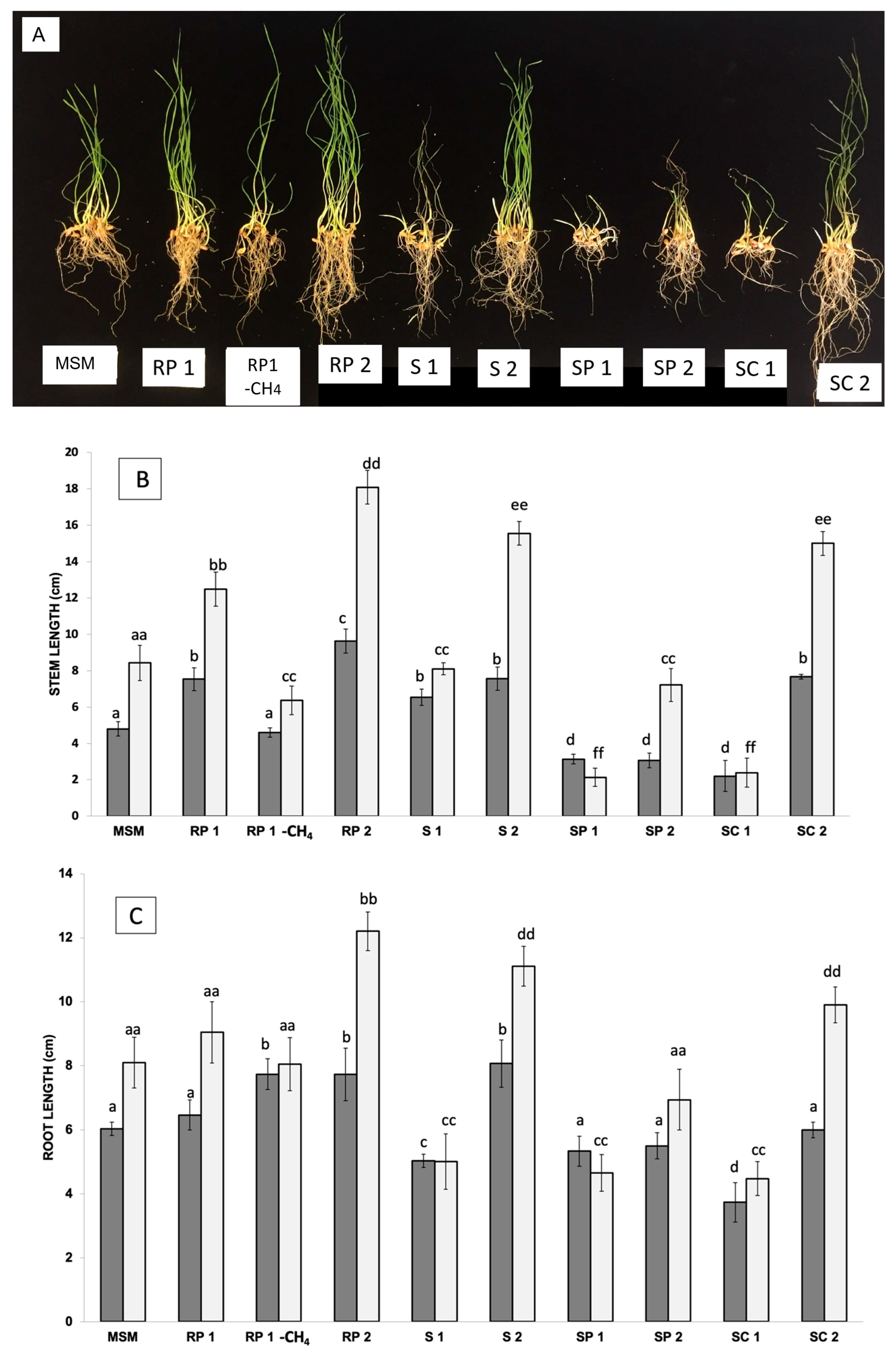 Plants 12 02487 g002a