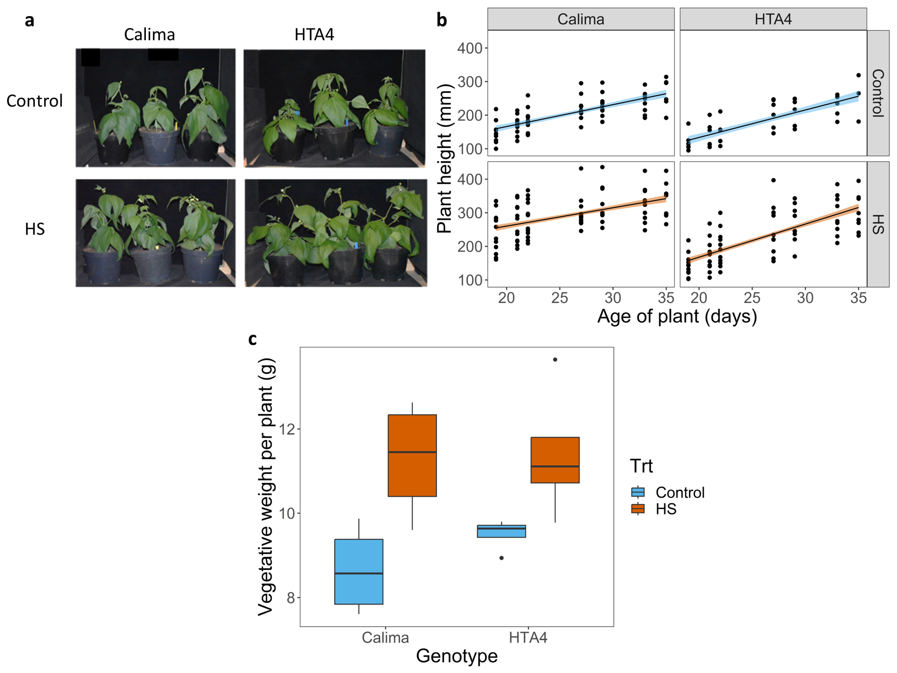 Plants 12 02491 g001