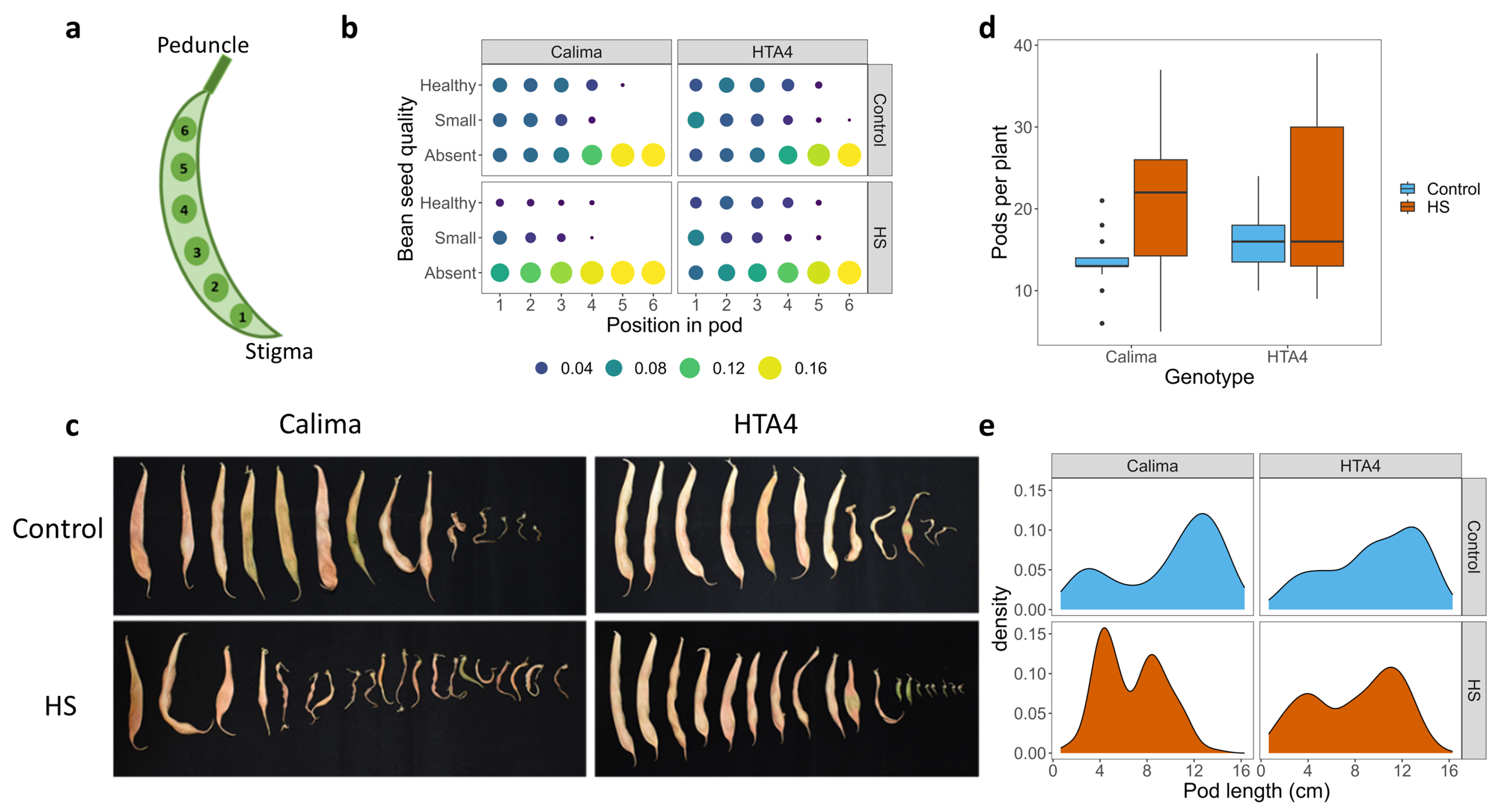 Plants 12 02491 g003