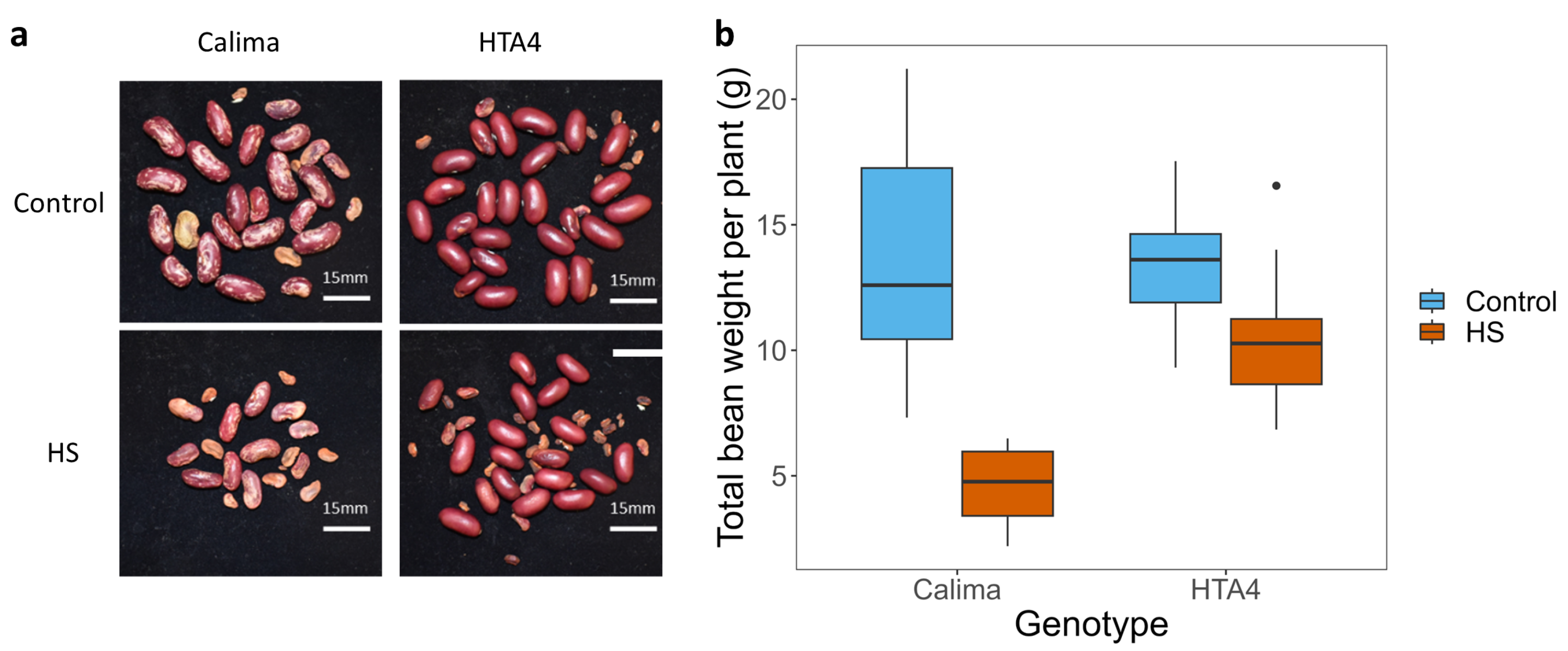 Plants 12 02491 g004