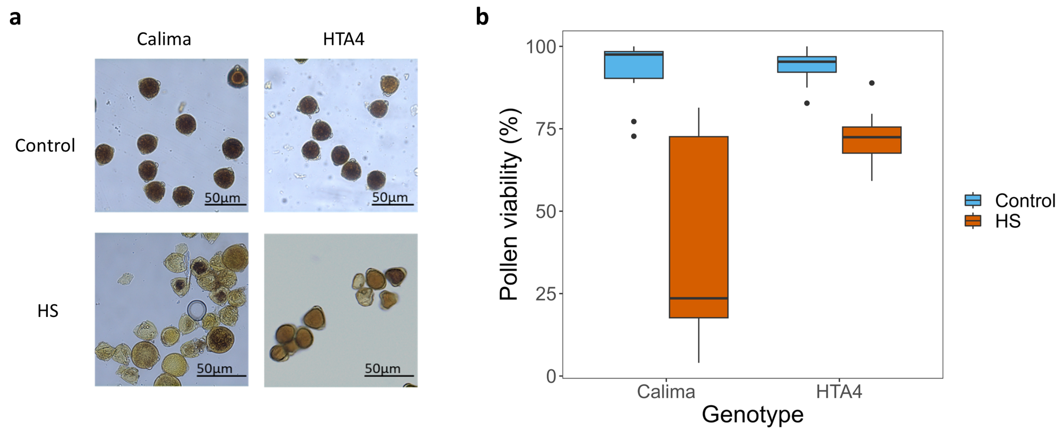 Plants 12 02491 g005