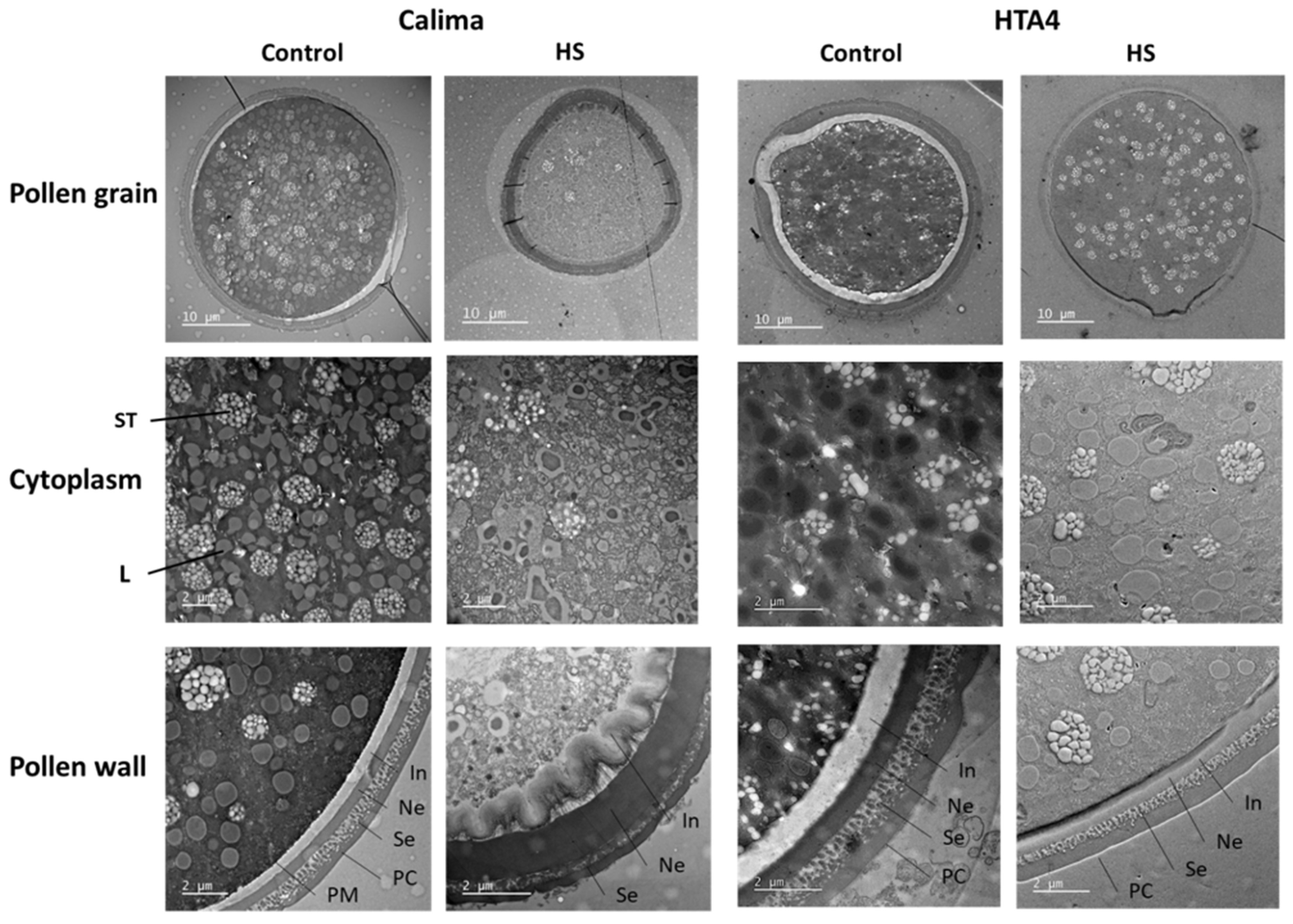 Plants 12 02491 g006