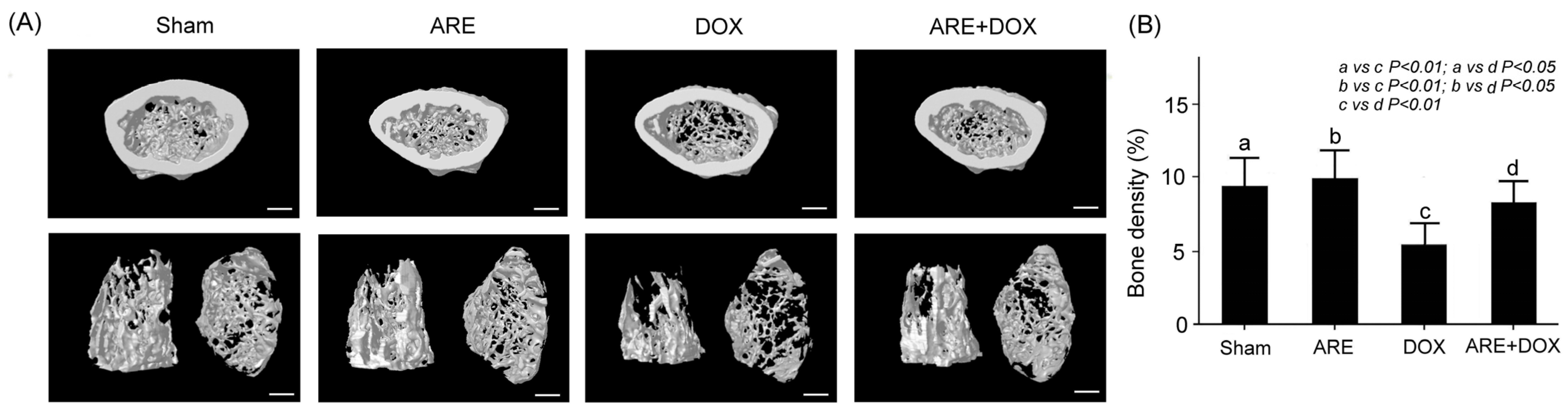 Plants 12 02494 g009