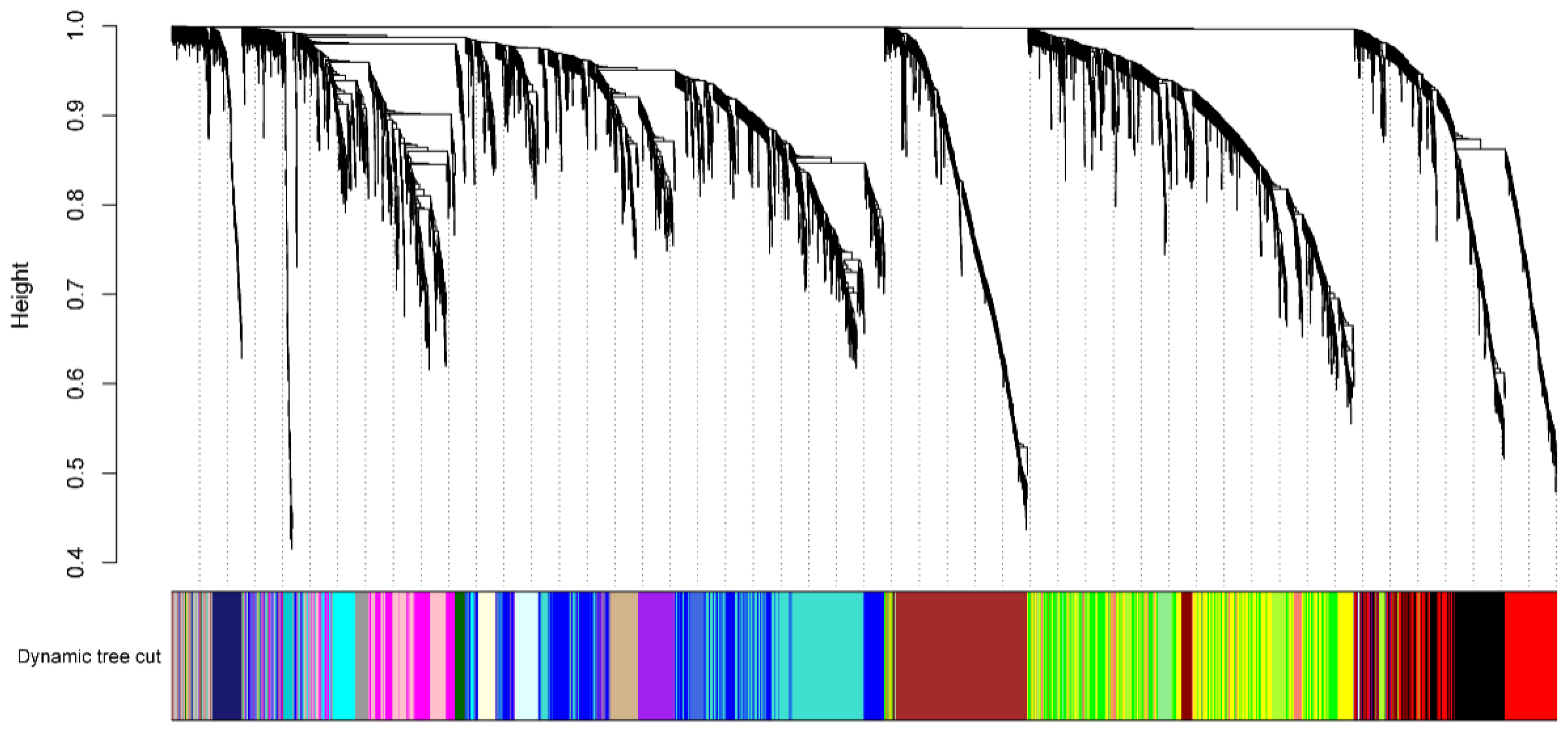 Plants 12 02496 g004