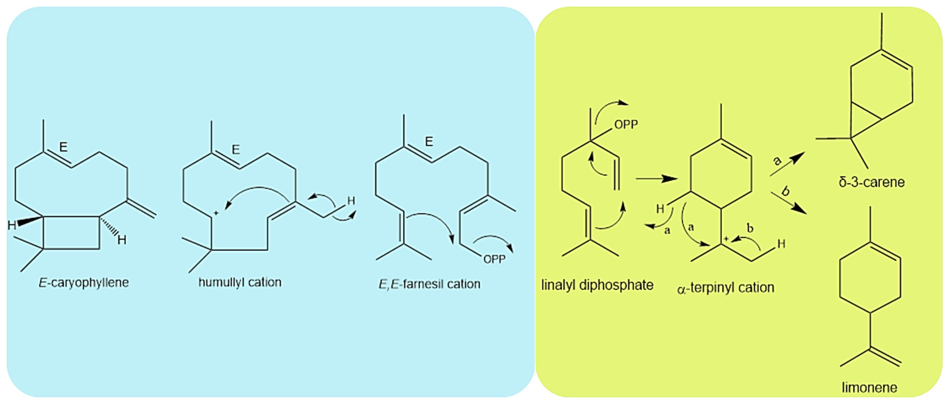 Plants 12 02497 g005