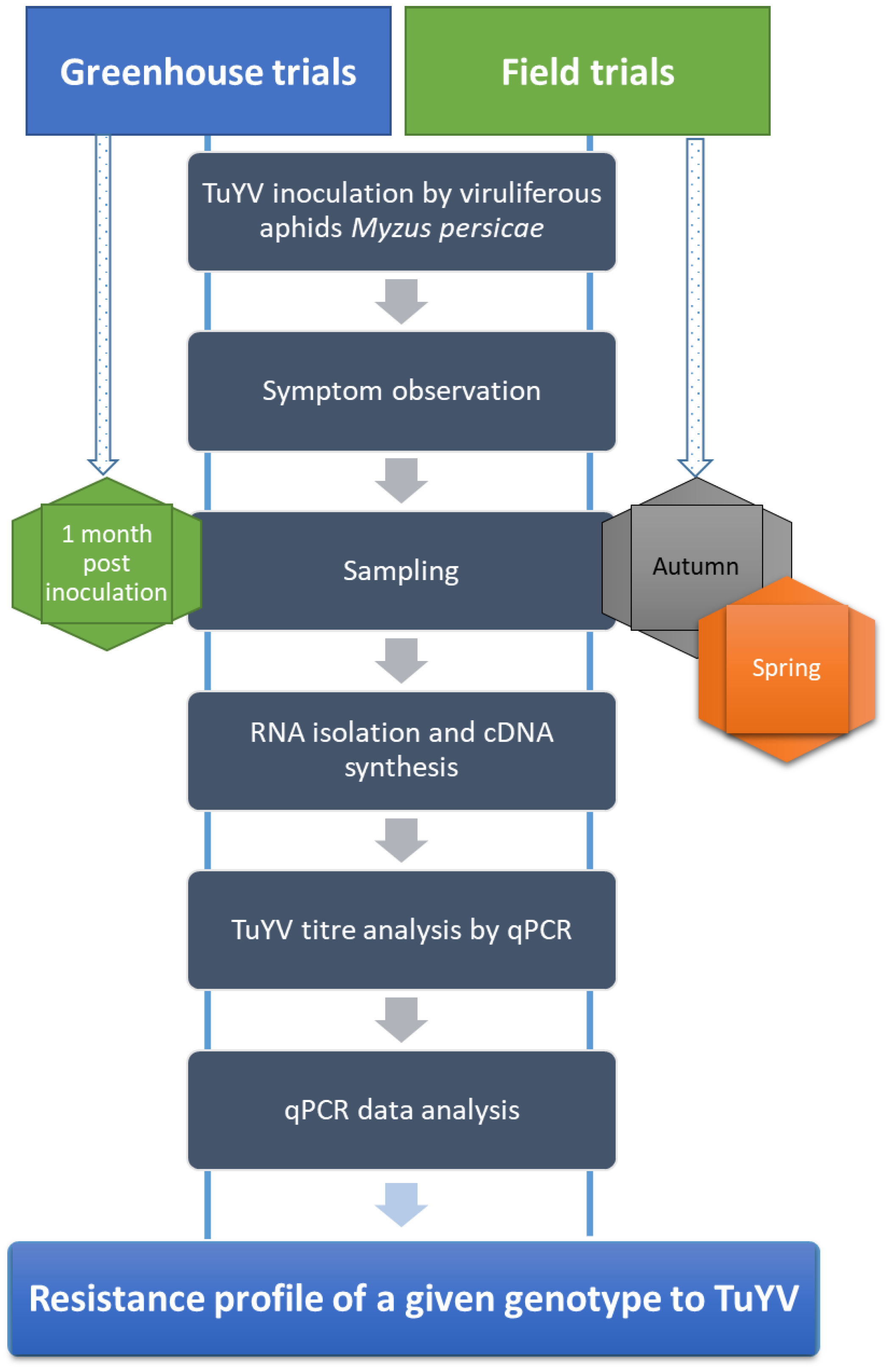 Plants 12 02501 g005