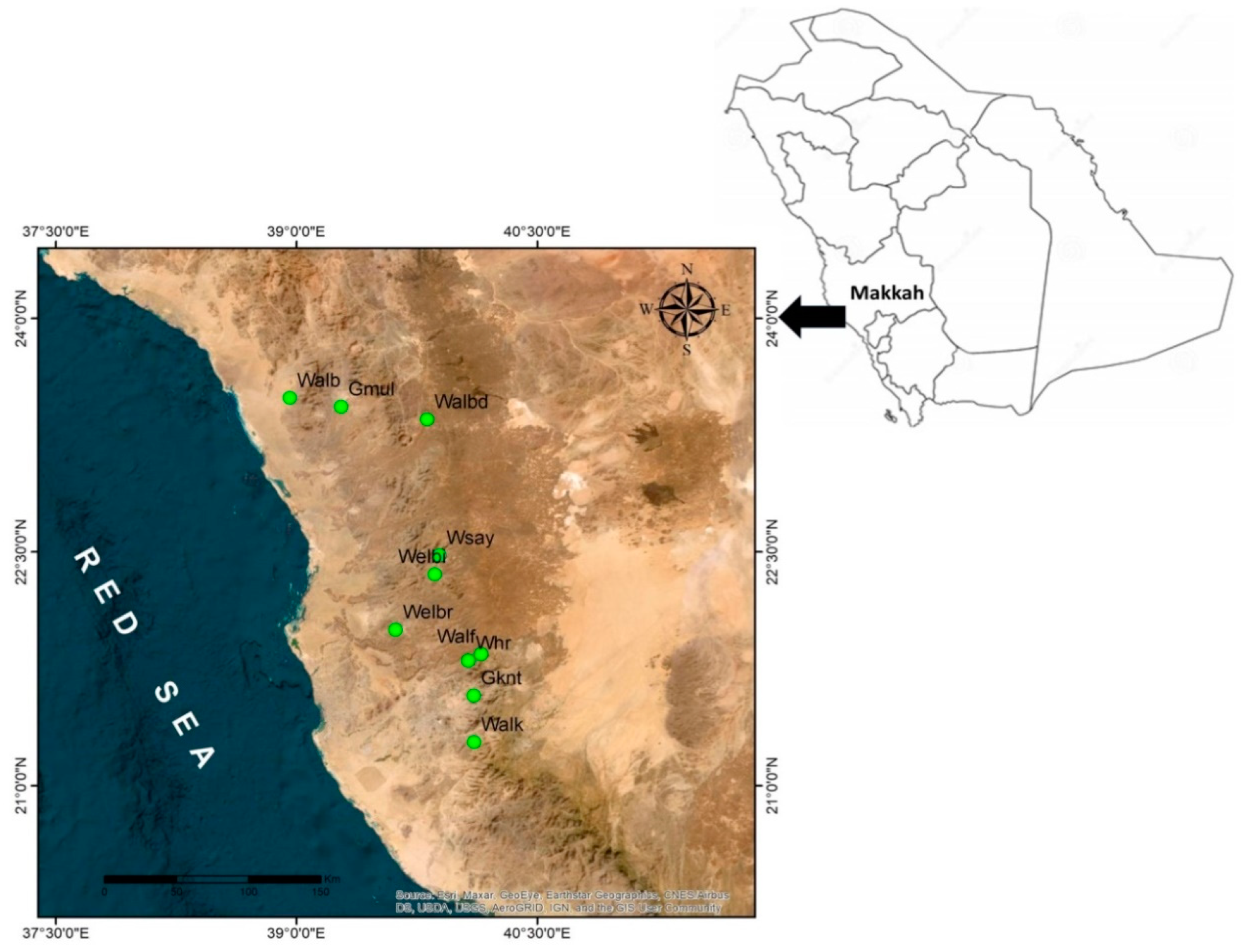 Plants 12 02506 g003 Plants 12 02506 g003