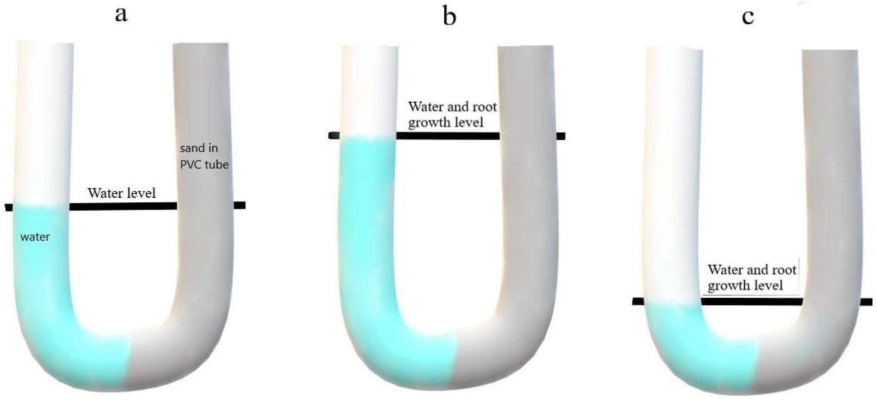 Plants 12 02513 g005 Plants 12 02513 g005