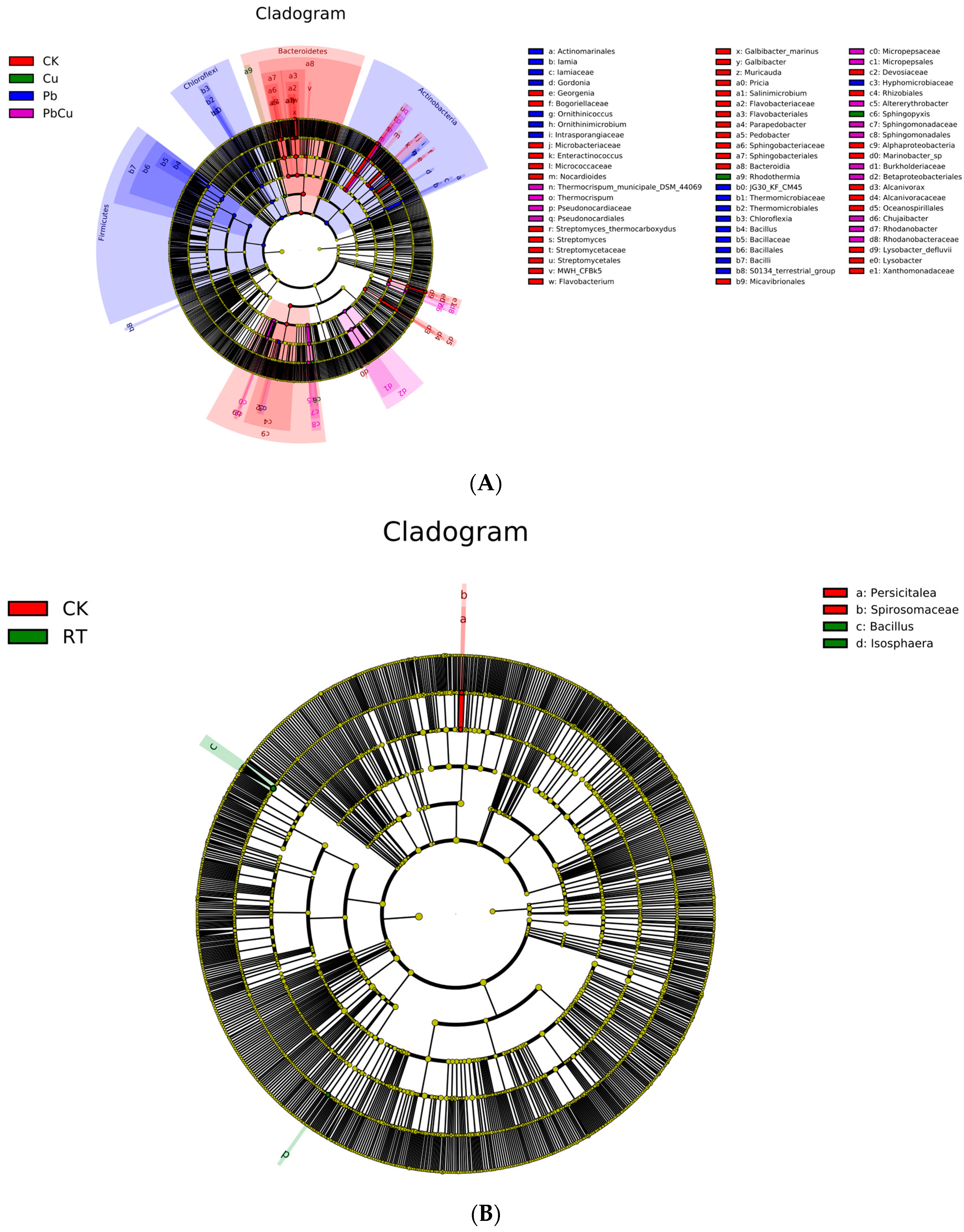 Plants 12 02523 g003
