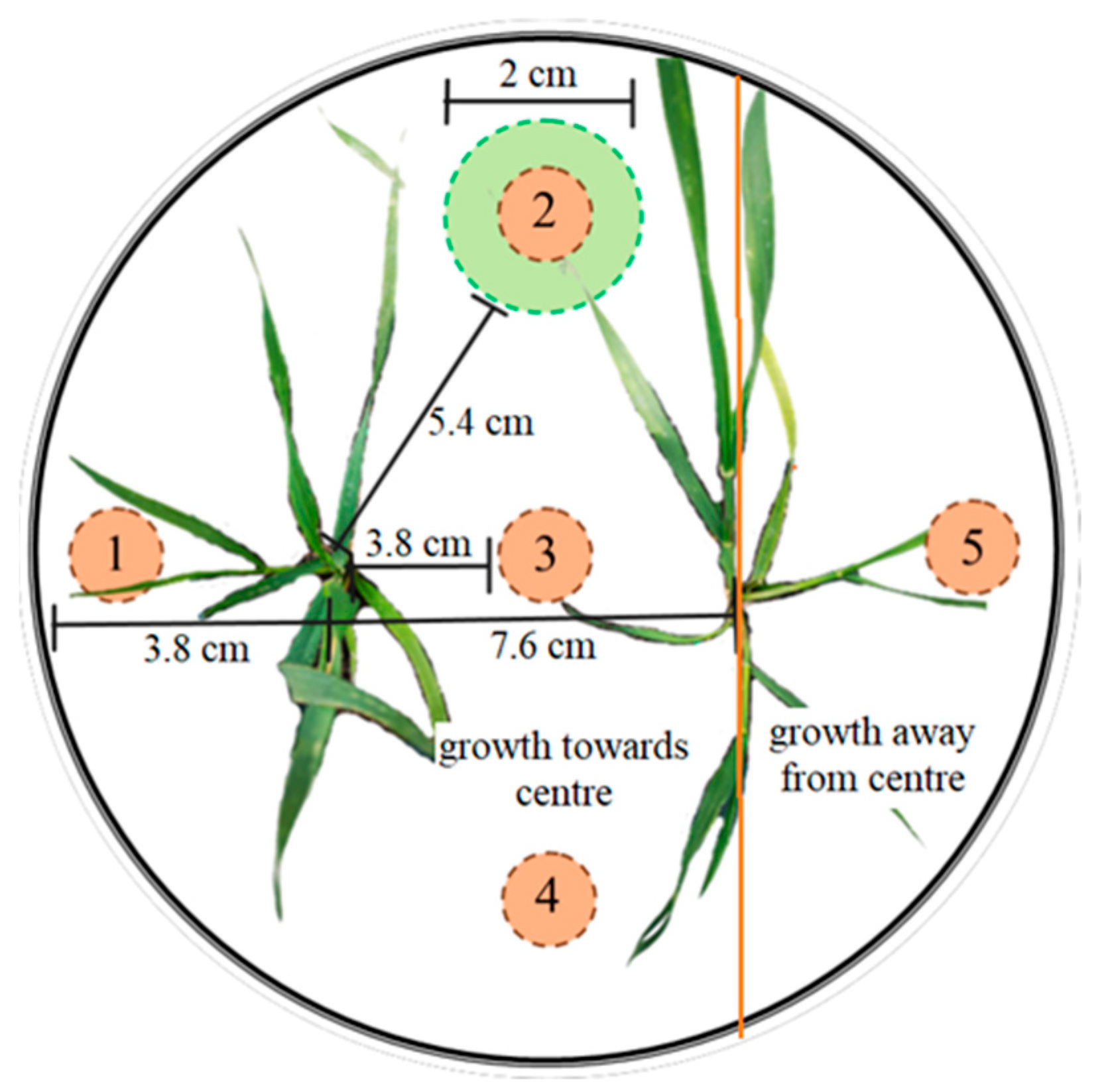 Plants 12 02527 g004 Plants 12 02527 g004