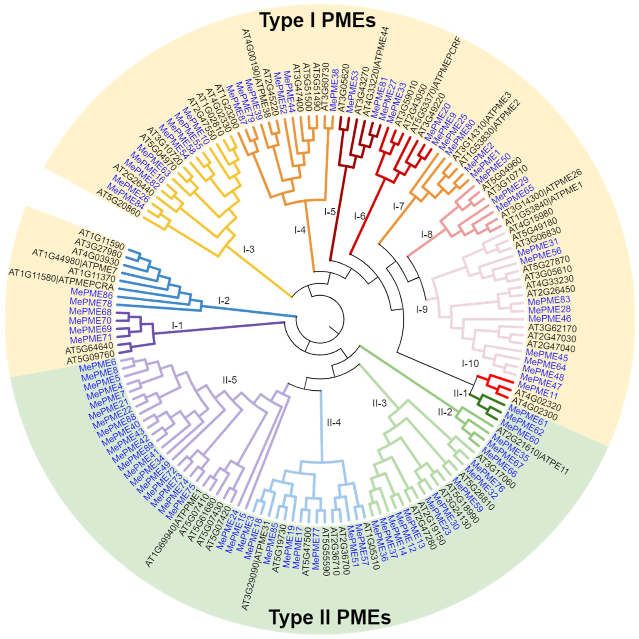 Plants 12 02529 g003