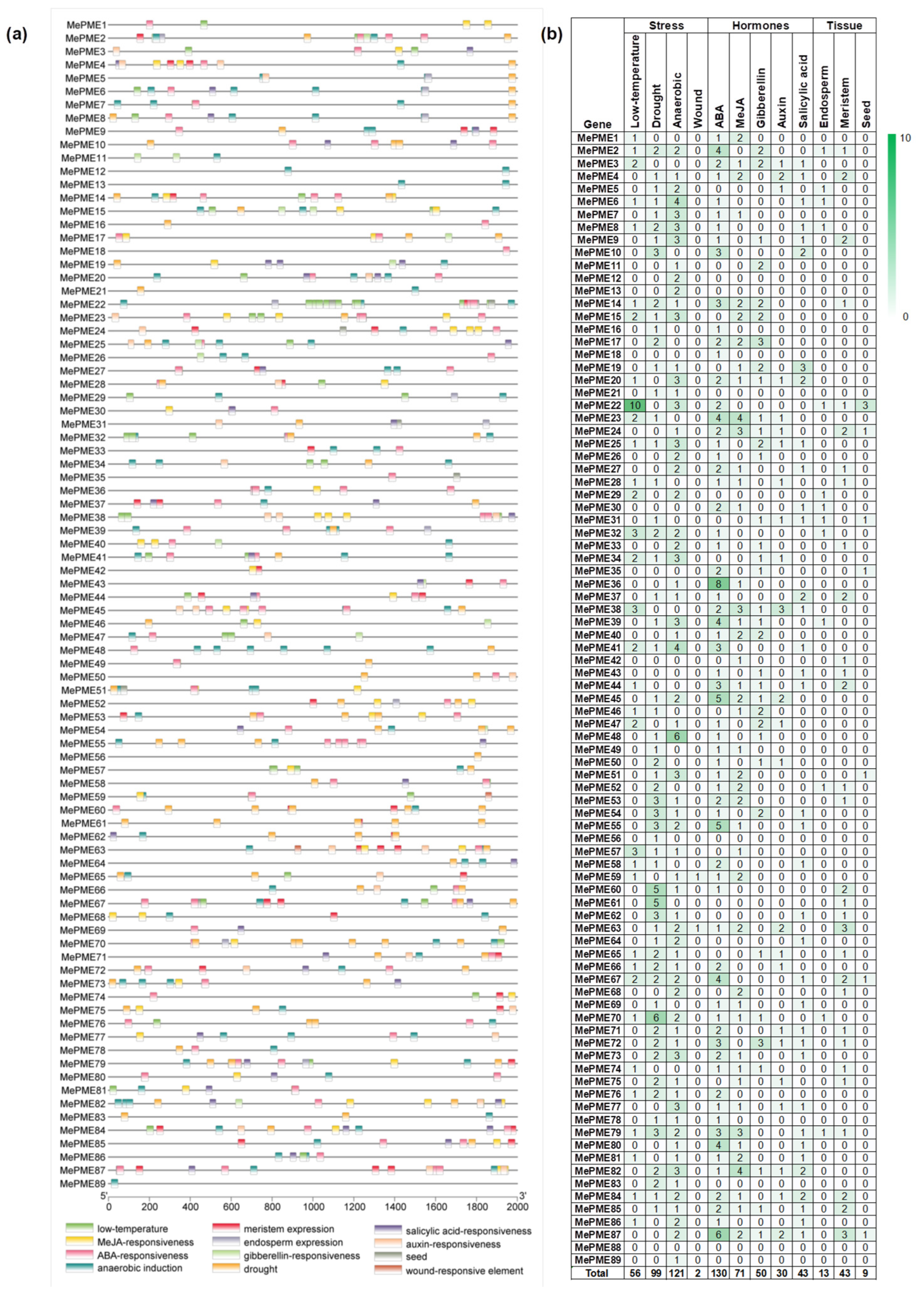 Plants 12 02529 g007