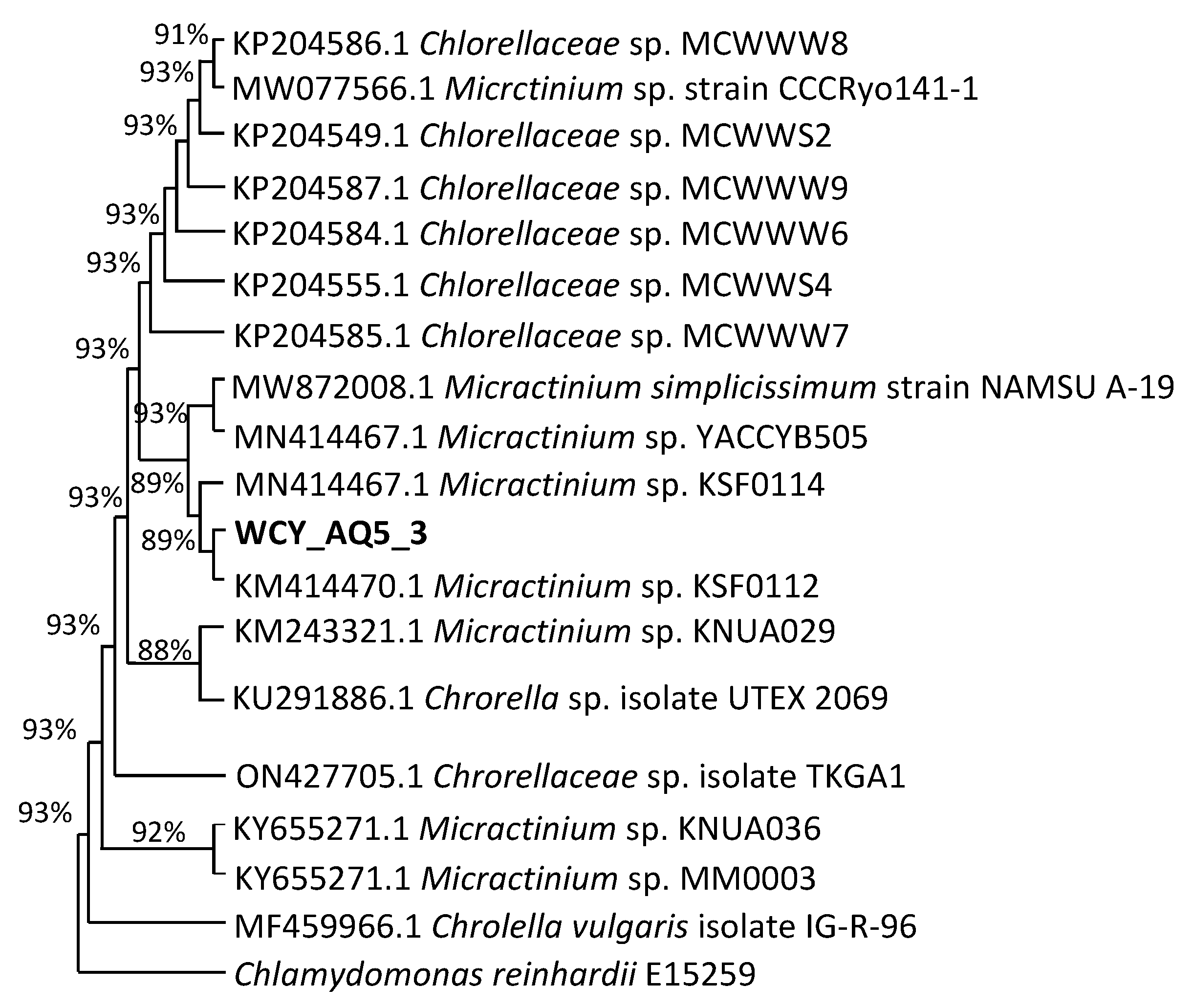 Plants 12 02536 g011