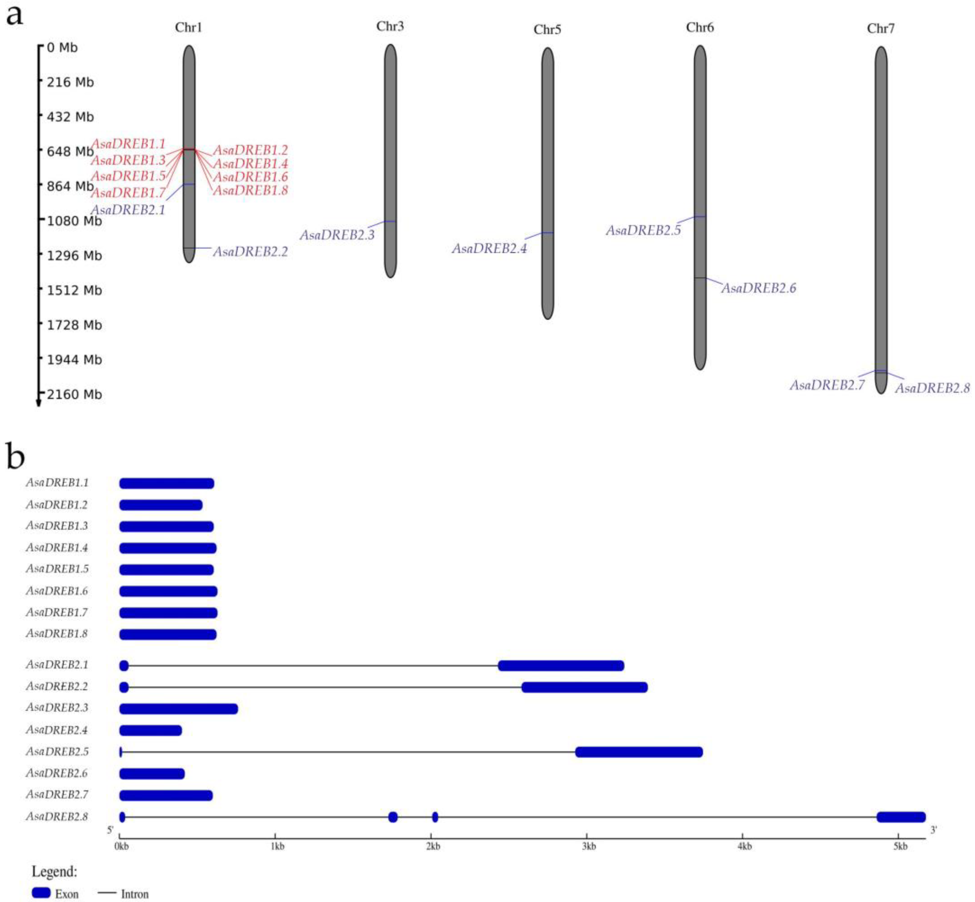 Plants 12 02538 g001