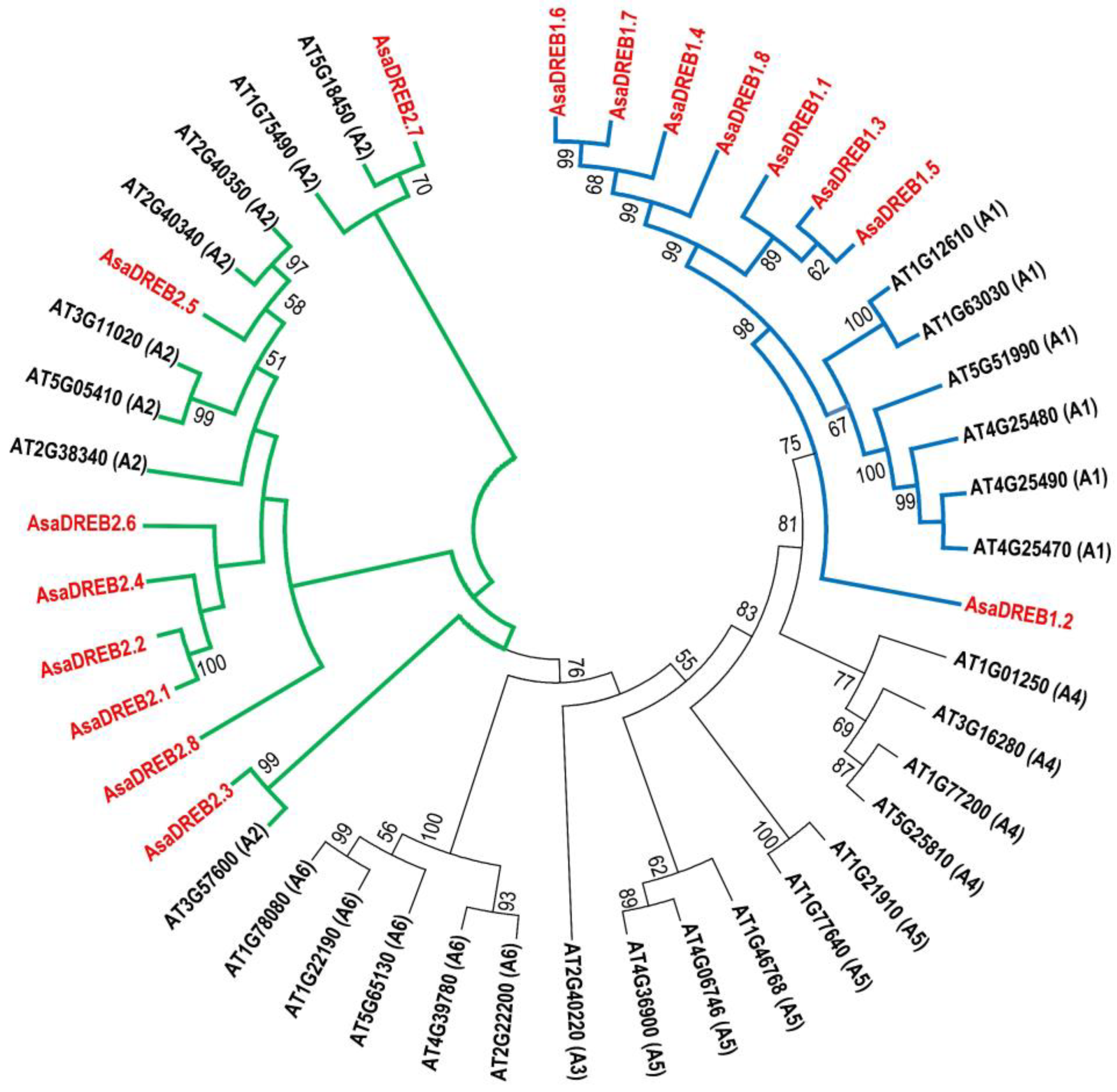Plants 12 02538 g002