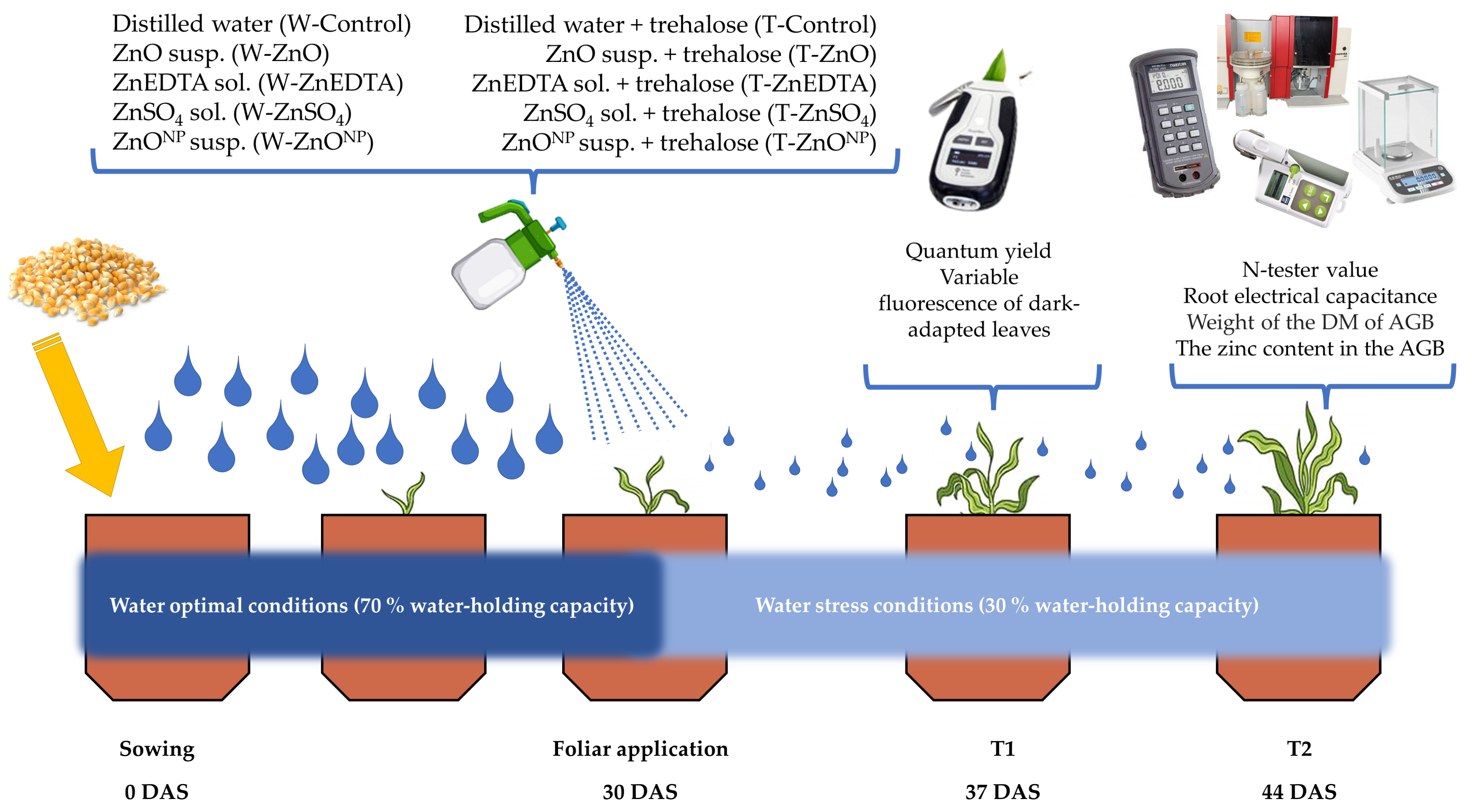 Plants 12 02539 g001 Plants 12 02539 g001
