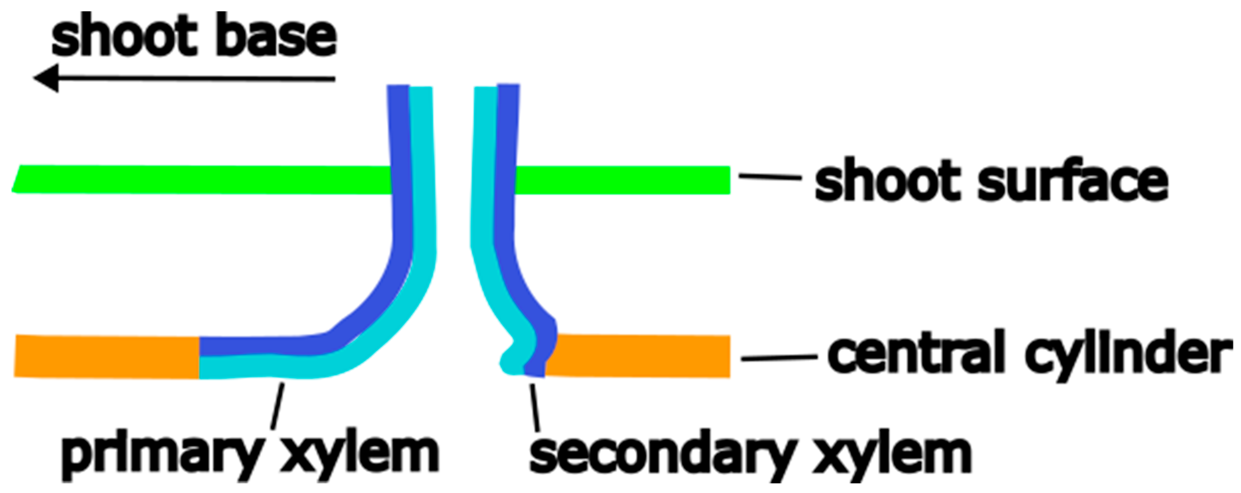 Plants 12 02544 g008