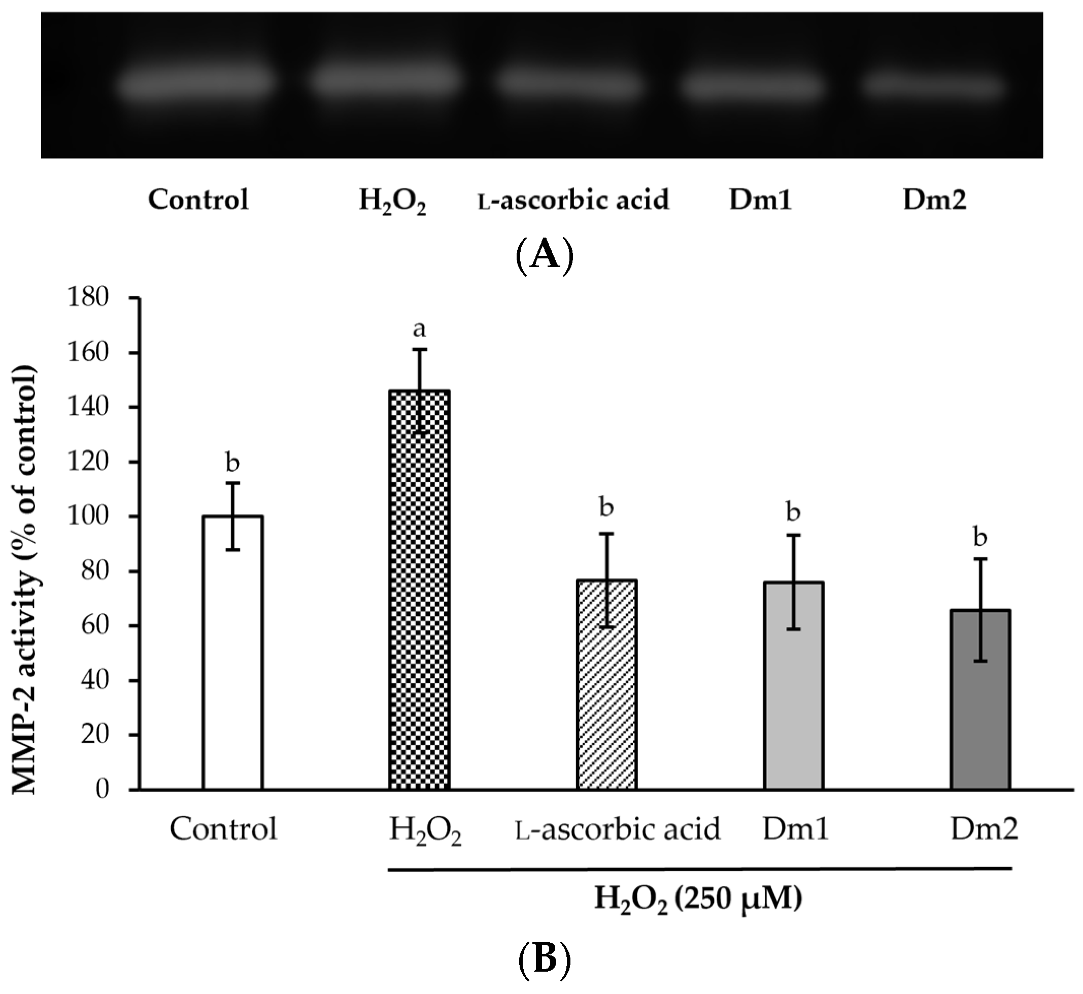 Plants 12 02546 g006 Plants 12 02546 g006