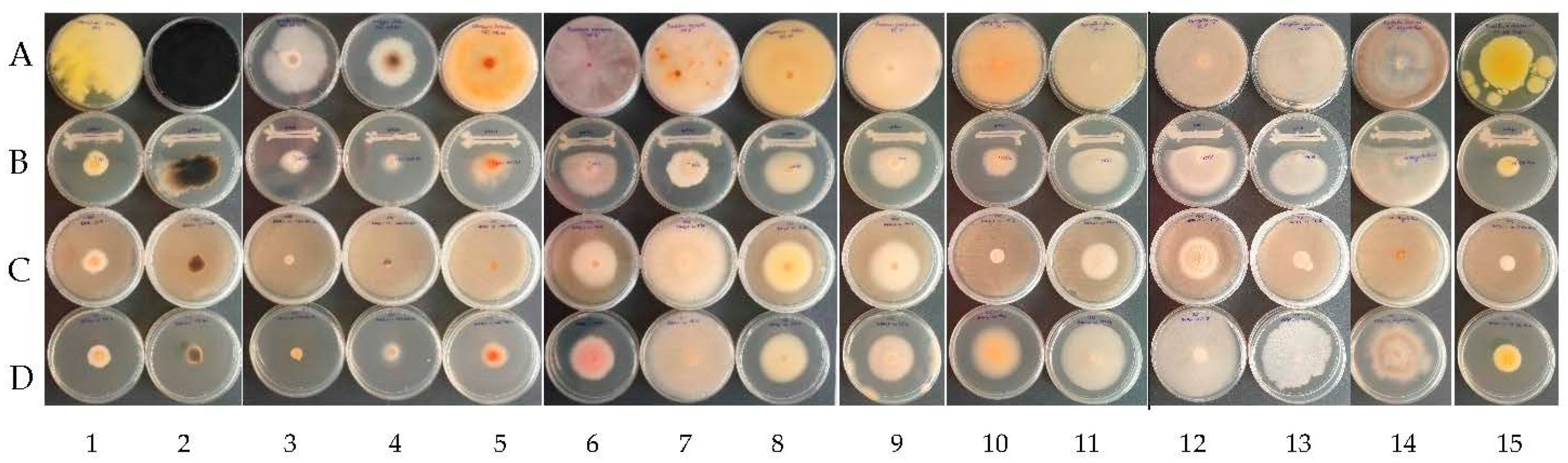 Plants 12 02553 g003